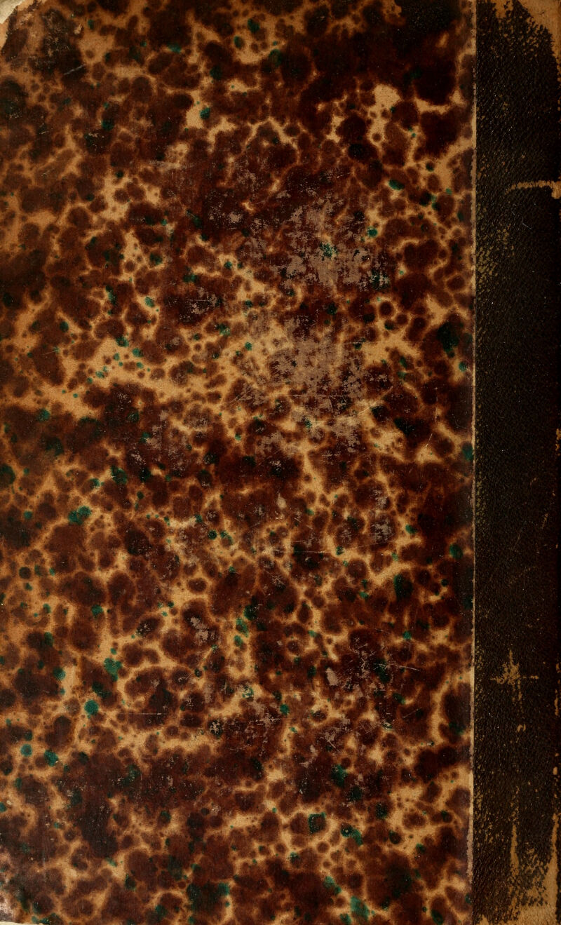 i-^. i*^r.V t w* *#^^ m