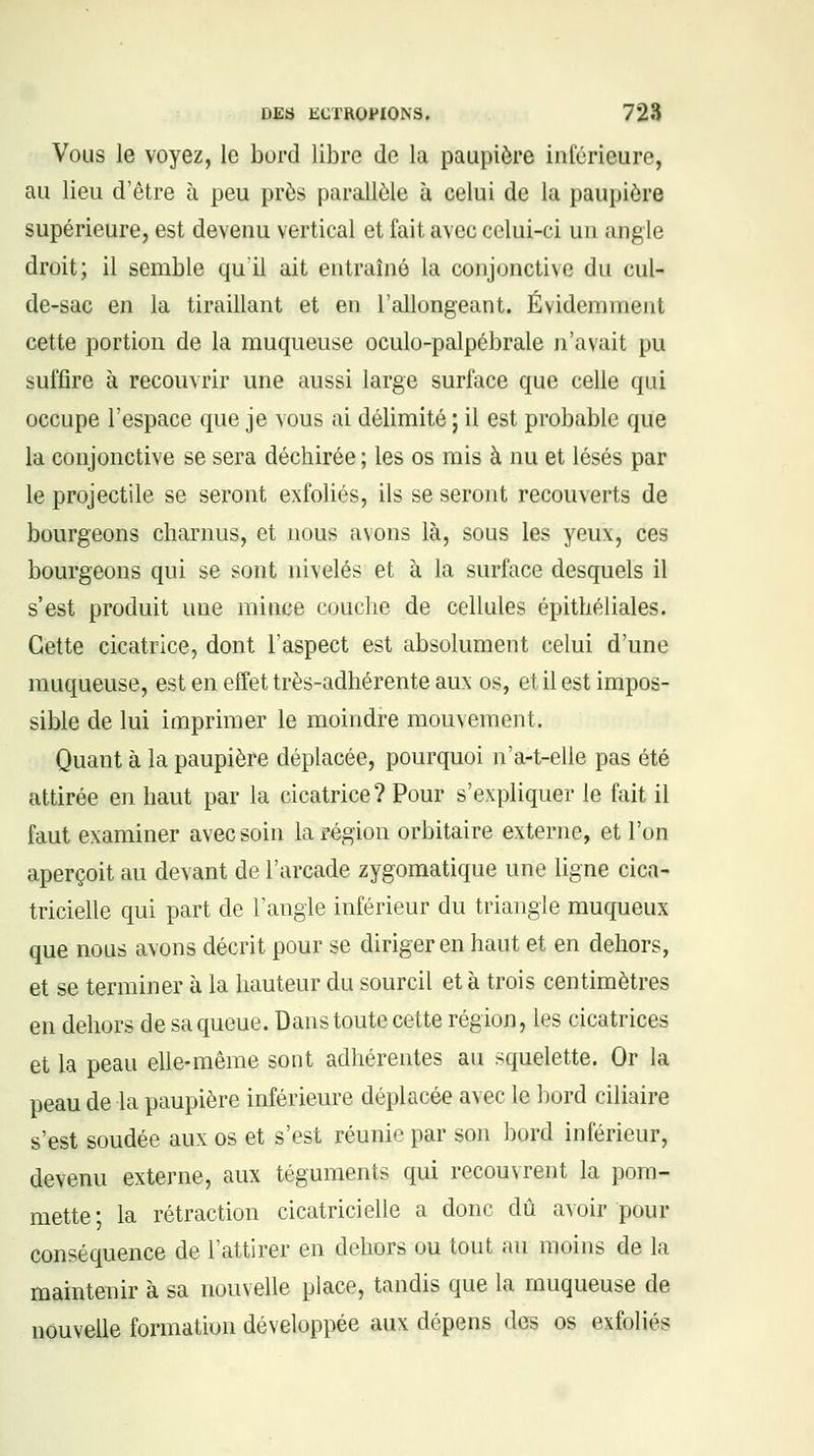 Vous le voyez, le bord libre de la paupière inférieure, au lieu d'être à peu près parallèle à celui de la paupière supérieure, est devenu vertical et fait avec celui-ci un angle droit; il semble qu'il ait entraîné la conjonctive du cul- de-sac en la tiraillant et en l'allongeant. Évidemment cette portion de la muqueuse oculo-palpébrale n'avait pu suffire à recouvrir une aussi large surface que celle qui occupe l'espace que je vous ai délimité ; il est probable que la conjonctive se sera déchirée ; les os mis à nu et lésés par le projectile se seront exfoliés, ils se seront recouverts de bourgeons charnus, et nous avons là, sous les yeux, ces bourgeons qui se sont nivelés et à la surface desquels il s'est produit une mince couche de cellules épithéliales. Cette cicatrice, dont l'aspect est absolument celui d'une muqueuse, est en effet très-adhérente aux os, et il est impos- sible de lui imprimer le moindre mouvement. Quant à la paupière déplacée, pourquoi n'a-t-elie pas été attirée en haut par la cicatrice? Pour s'expliquer le fait il faut examiner avec soin la région orbitaire externe, et l'on aperçoit au devant de l'arcade zygomatique une ligne cica- tricielle qui part de l'angle inférieur du triangle muqueux que nous avons décrit pour se diriger en haut et en dehors, et se terminer à la hauteur du sourcil et à trois centimètres en dehors de sa queue. Dans toute cette région, les cicatrices et la peau elle-même sont adhérentes au squelette. Or la peau de la paupière inférieure déplacée avec le bord ciliaire s'est soudée aux os et s'est réunie par son bord inférieur, devenu externe, aux téguments qui recouvrent la pom- mette* la rétraction cicatricielle a donc dû avoir pour conséquence de l'attirer en dehors ou tout au moins de la maintenir à sa nouvelle place, tandis que la muqueuse de nouvelle formation développée aux dépens des os exfoliés