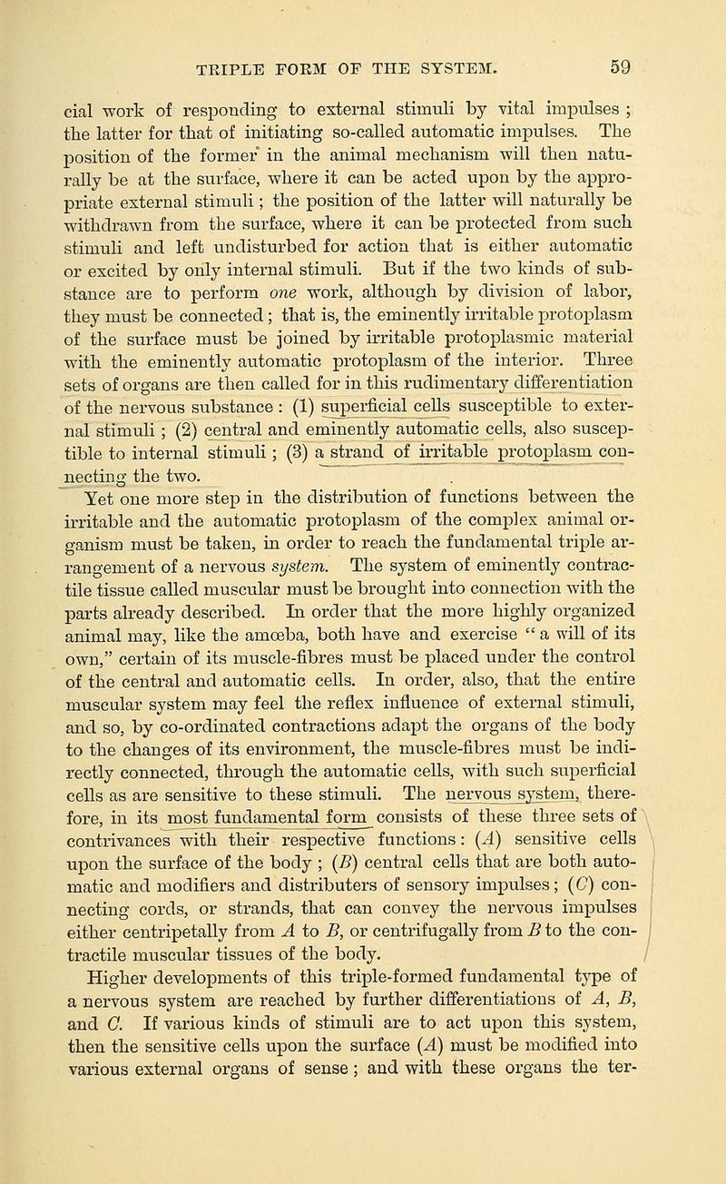 cial work of responding to external stimuli by vital impulses ; the latter for that of initiating so-called automatic impulses. The position of the former in the animal mechanism will then natu- rally be at the surface, where it can be acted upon by the appro- priate external stimuli; the position of the latter will naturally be withdrawn from the surface, where it can be protected from such stimuli and left undisturbed for action that is either automatic or excited by only internal stimuli. But if the two kinds of sub- stance are to perform one work, although by division of labor, they must be connected; that is, the eminently irritable protoplasm of the surface must be joined by irritable protoplasmic material with the eminently automatic protoplasm of the interior. Three sets of organs are then called for in this rudimentary differentiation of the nervous substance : (1) superficial cells susceptible to exter- nal stimuli; (2) central and eminently automatic cells, also suscep- tible to internal stimuli; (3) a strand j)f irritable protoplasm con- necting the two. Yet one more step in the distribution of functions between the irritable and the automatic protoplasm of the complex animal or- ganism must be taken, in order to reach the fundamental triple ar- rangement of a nervous system. The system of eminently contrac- tile tissue called muscular must be brought into connection with the parts already described. In order that the more highly organized animal may, like the amoeba, both have and exercise  a will of its own, certain of its muscle-fibres must be placed under the control of the central and automatic cells. In order, also, that the entire muscular system may feel the reflex influence of extei'nal stimuli, and so, by co-ordinated contractions adajDt the oi'gans of the body to the changes of its environment, the muscle-fibres must be indi- rectly connected, through the automatic cells, with such superficial cells as are sensitive to these stimuli. The nervouj system, there- fore, in its most fundamental form_ consists of these three sets of contrivances with their respective functions: (A) sensitive cells upon the surface of the body ; (B) central cells that are both auto- matic and modifiers and distributers of sensory impulses; (C) con- necting cords, or strands, that can convey the nervous impulses either centripetally from A to B, or centrifugally from B to the con- tractile muscular tissues of the body. Higher developments of this triple-formed fundamental type of a nervous system are reached by further differentiations of A, B, and G. If various kinds of stimuli are to act upon this system, then the sensitive cells upon the surface {A) must be modified into various external organs of sense; and with these organs the ter-