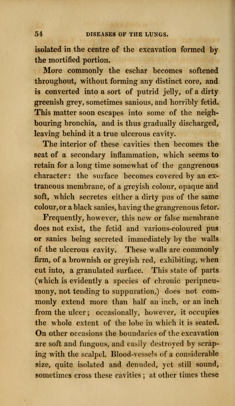 isolated in the centre of the excavation formed by the mortified portion. More commonly the eschar becomes softened throughout, without forming any distinct core, and is converted into a sort of putrid jelly, of a dirty greenish grey, sometimes sanious, and horribly fetid. This matter soon escapes into some of the neigh- bouring bronchia, and is thus gradually discharged, leaving behind it a true ulcerous cavity. The interior of these cavities then becomes the seat of a secondary inflammation, which seems to retain for a long time somewhat of the gangrenous character: the surface becomes covered by an ex- traneous membrane, of a greyish colour, opaque and soft, which secretes either a dirty pus of the same colour, or a black sanies, having the grangrenous fetor. Frequently, however, this new or false membrane does not exist, the fetid and various-coloured pus or sanies being secreted immediately by the walls of the ulcerous cavity. These walls are commonly firm, of a brownish or greyish red, exhibiting, when cut into, a granulated surface. This state of parts (which is evidently a species of chronic peripneu- mony, not tending to suppuration,) does not com- monly extend more than half an inch, or an inch from the ulcer; occasionally, however, it occupies the whole extent of the lobe in which it is seated. On other occasions the boundaries of the excavation are soft and fungous, and easily destroyed by scrap- ing with the scalpel. Blood-vessels of a considerable size, quite isolated and denuded, yet still sound, sometimes cross these cavities ; at other times these