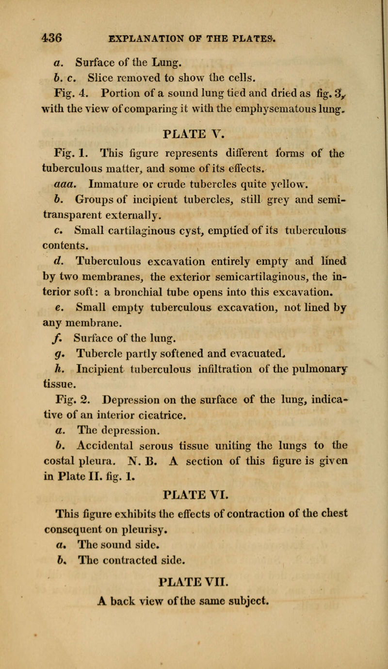a. Surface of the Lung. 6. c. Slice removed to show the cells. Fig. 4. Portion of a sound lung tied and dried as fig. 3y with the view of comparing it with the emphysematous lung, PLATE V. Fig. 1. This figure represents different forms of the tuberculous matter, and some of its effects. aaa. Immature or crude tubercles quite yellow. 6. Groups of incipient tubercles, still grey and semi- transparent externally. c. Small cartilaginous cyst, emptied of its tuberculous contents. d. Tuberculous excavation entirely empty and lined by two membranes, the exterior semicartilaginous, the in- terior soft: a bronchial tube opens into this excavation. e. Small empty tuberculous excavation, not lined by any membrane. /. Surface of the lung. g. Tubercle partly softened and evacuated., h. Incipient tuberculous infiltration of the pulmonary tissue. Fig. 2. Depression on the surface of the lung, indica- tive of an interior cicatrice. a. The depression. b. Accidental serous tissue uniting the lungs to the costal pleura. N. B. A section of this figure is given in Plate II. fig. 1. PLATE VI. This figure exhibits the effects of contraction of the chest consequent on pleurisy. a. The sound side. &• The contracted side. PLATE VII. A back view of the same subject.