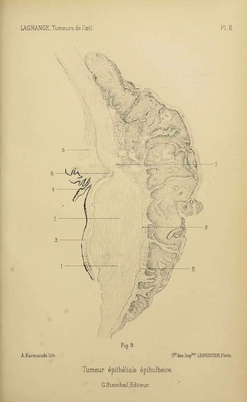 V % ■■&■ w : A.KarmansMlith. Fig.8, S^des lmp^s LEMERCIER,Paris.