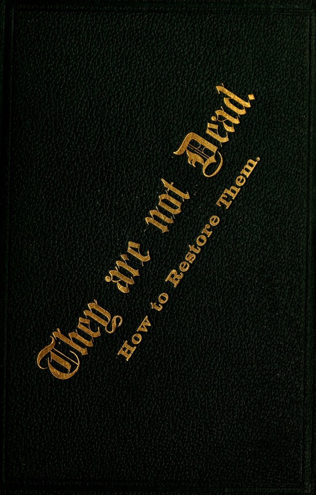 No text description is available for this image