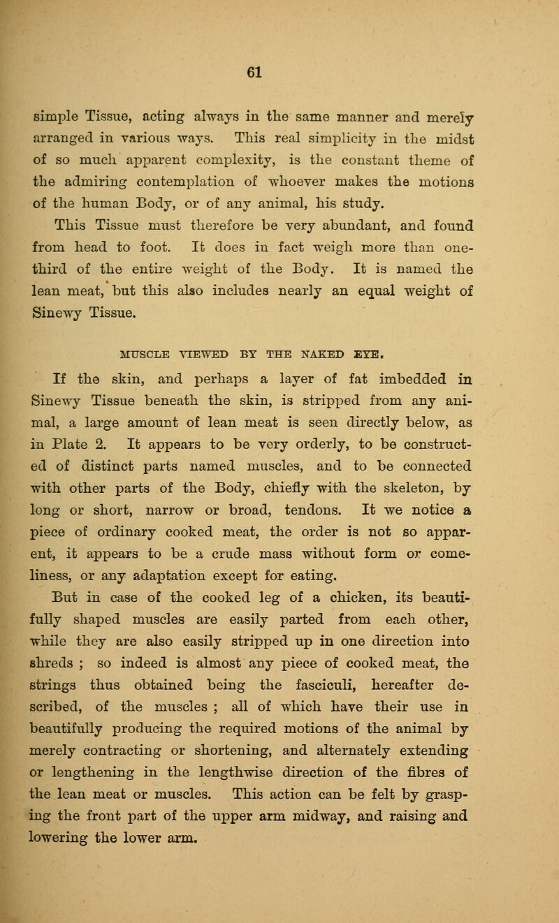 simple Tissue, acting always in the same manner and merely arranged in various ways. This real simplicity in the midst of so much apparent complexity, is the constant theme of the admiring contemplation of whoever makes the motions of the human Body, or of any animal, his study. This Tissue must therefore be very abundant, and found from head to foot. Ifc does in fact weigh more than one- third of the entire weight of the Body. It is named the lean meat, but this also includes nearly an equal weight of Sinewy Tissue. MUSCLE VIEWED BY THE NAKED EYE. If the skin, and j^erhaps a layer of fat imbedded in Sinewy Tissue beneath the skin, is stripped from any ani- mal, a large amount of lean meat is seen directly below, as in Plate 2. It appears to be very orderly, to be construct- ed of distinct parts named muscles, and to be connected with other parts of the Body, chiefly with the skeleton, by long or short, narrow or broad, tendons. It we notice a piece of ordinary cooked meat, the order is not so appar- ent, it appears to be a crude mass without form or come- liness, or any adaptation except for eating. But in case of the cooked leg of a chicken, its beauti- fully shaped muscles are easily parted from each other, while they are also easily stripped up in one direction into shreds ; so indeed is almost any piece of cooked meat, the strings thus obtained being the fasciculi, hereafter de- scribed, of the muscles ; all of which have their use in beautifully producing the required motions of the animal by merely contracting or shortening, and alternately extending or lengthening in the lengthwise direction of the fibres of the lean meat or muscles. This action can be felt by grasp- ing the front part of the upper arm midway, and raising and lowering the lower arm.