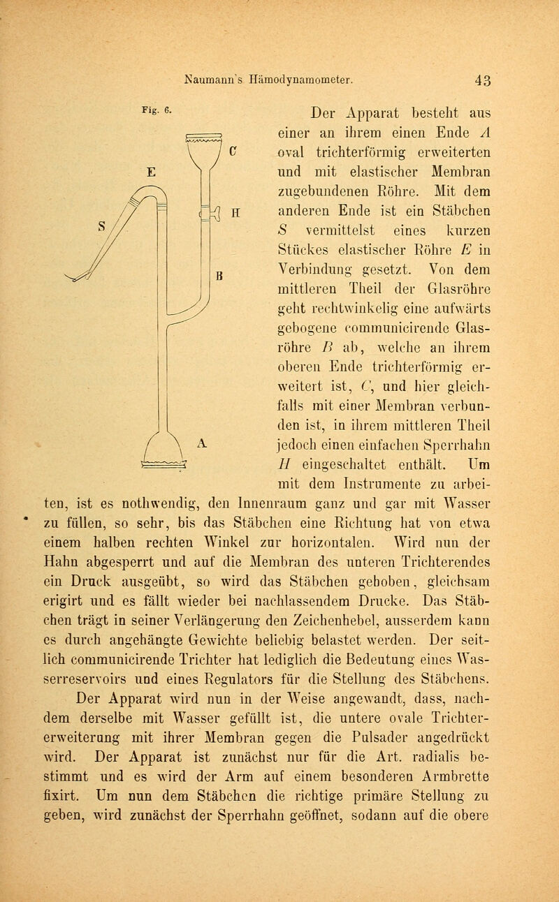 E 4 h Fig 6- Der Apparat besteht aus einer an ihrem einen Ende A oval trichterförmig erweiterten und mit elastischer Membran zugebundenen Rohre. Mit dem anderen Ende ist ein Stäbchen S vermittelst eines kurzen Stückes elastischer Röhre E in Verbindung gesetzt. Von dem mittleren Theil der Glasröhre geht rechtwinkelig eine aufwärts gebogene communicirende Glas- röhre B ab, welche an ihrem oberen Ende trichterförmig er- weitert ist, C, und hier gleich- falls mit einer Membran verbun- den ist, in ihrem mittleren Theil jedoch einen einfachen Sperrhahn H eingeschaltet enthält. Um mit dem Instrumente zu arbei- ten, ist es nothwendig, den Innenraum ganz und gar mit Wasser zu füllen, so sehr, bis das Stäbchen eine Richtung hat von etwa einem halben rechten Winkel zur horizontalen. Wird nun der Hahn abgesperrt und auf die Membran des unteren Trichterendes ein Druck ausgeübt, so wird das Stäbchen gehoben, gleichsam erigirt und es fällt wieder bei nachlassendem Drucke. Das Stäb- chen trägt in seiner Verlängerung den Zeichenhebel, ausserdem kann es durch angehängte Gewichte beliebig belastet werden. Der seit- lich communicirende Trichter hat lediglich die Bedeutung eines Was- serreservoirs und eines Regulators für die Stellung des Stäbchens. Der Apparat wird nun in der Weise angewandt, dass, nach- dem derselbe mit Wasser gefüllt ist, die untere ovale Trichter- erweiterang mit ihrer Membran gegen die Pulsader angedrückt wird. Der Apparat ist zunächst nur für die Art. radialis be- stimmt und es wird der Arm auf einem besonderen Armbrette fixirt. Um nun dem Stäbchen die richtige primäre Stellung zu geben, wird zunächst der Sperrhahn geöffnet, sodann auf die obere