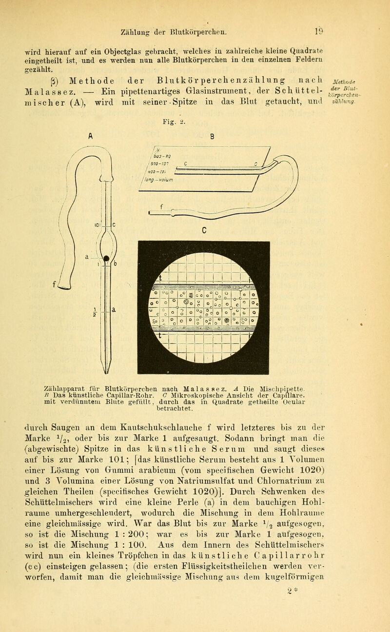 wird hierauf auf ein Objectglas gebracht, welches in zahlreiche kleine Quadrate eingetheilt ist, und es werden nun alle Blutkörperchen in den einzelnen Feldern gezählt. ß) Methode der Blutkörperchenzählung nach Malassez. — Ein pipettenartiges Glasinstrunient, der Seh litte 1- niischer (A), wird mit seiner • Spitze in das Blut getaucht, und Methode der Blut- körpercjien- Fiz. 2- Zählapparat für Blutkörperchen nach Malassez. Ä Die Mischpipette. K Das künstliche Capillar-Rohr. O Mikroskopische Ansicht der Capillare, mit verdünntem Blute gefüllt, durch das in Quadrate getheilte Ocular betrachtet. durch Saugen an dem Kautschukschlauche f wird letzteres bis zu der Marke 1/2, oder bis zur Marke 1 aufgesaugt. Sodann bringt man die (abgewischte) Spitze in das künstliche Serum und saugt dieses auf bis zur Marke 101 *, [das künstliche Serum besteht aus 1 Yolumen einer Lösung von Gummi arabicum (vom speci fischen Gewicht 1020) und 3 Volumina einer Lösung von Natriumsulfat und Chlornatrium zu gleichen Theilen (speeifisches Gewicht 1020)]. Durch Schwenken des Schüttelmischers wird eine kleine Perle (a) in dem bauchigen Hohl- räume umhergeschleudert, wodurch die Mischung in dem Hohlräume eine gleichmässige wird. War das Blut bis zur Marke 1/2 aufgesogen, so ist die Mischung 1 : 200; war es bis zur Marke 1 aufgesogen, so ist die Mischung 1 : 100. Aus dem Innern des Schüttelmischers wird nun ein kleines Tröpfchen in das künstliche Capillarrohr (cc) einsteigen gelassen • (die ersten Flüssigkeitstheiichen werden ver- worfen, damit man die gleichmässige Mischung aus dem kugelförmigen 2*