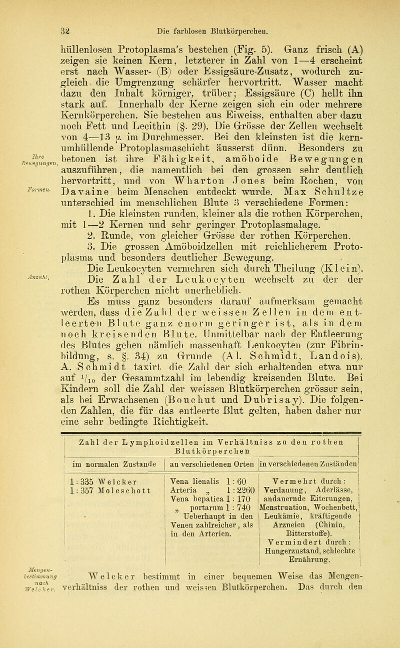 hüllenlosen Protoplasma's bestehen (Fig. 5). Ganz frisch (A) zeigen sie keinen Kern, letzterer in Zahl von 1—4 erscheint erst nach Wasser- (B) oder Essigsäure-Zusatz, wodurch zu- gleich die Umgrenzung schärfer hervortritt. Wasser macht dazu den Inhalt körniger, trüber; Essigsäure (C) hellt ihn stark auf. Innerhalb der Kerne zeigen sich ein oder mehrere Kernkörperchen. Sie bestehen aus Eiweiss, enthalten aber dazu noch Fett und Lecithin (§. 29). Die Grösse der Zellen wechselt von 4—13 [/. im Durchmesser. Bei den kleinsten ist die kern- umhüllende Protoplasmaschicht äusserst dünn. Besonders zu ihre betonen ist ihre Fähigkeit, amöboide Bewegungen Bewegungen. O m * m o o auszuführen, die namentlich bei den grossen sehr deutlich hervortritt, und von Wharton Jones beim Rochen, von Formen. DaVaine beim Menschen entdeckt wurde. Max Schultze unterschied im menschlichen Blute 3 verschiedene Formen: 1. Die kleinsten runden, kleiner als die rothen Körperchen, mit 1—2 Kernen und sehr geringer Protoplasmalage. 2. Runde, von gleicher Grösse der rothen Körperchen. 3. Die grossen Amöboidzellen mit reichlicherem Proto- plasma und besonders deutlicher Bewegung. Die Leukocyten vermehren sich durch Theilung (Klein). Anzahl. j)je Zahl der Leukocyten wechselt zu der der rothen Körperchen nicht unerheblich. Es muss ganz besonders darauf aufmerksam gemacht werden, dass die Zahl der weissen Zellen in dem ent- leerten Blute ganz enorm geringer ist, als in dem noch kreisenden Blute. Unmittelbar nach der Entleerung des Blutes gehen nämlich massenhaft Leukocyten (zur Fibrin- bildung, s. §. 34) zu Grunde (AI. Schmidt, Landois). A. Schmidt taxirt die Zahl der sich erhaltenden etwa nur auf Vio der Gesammtzahl im lebendig kreisenden Blute. Bei Kindern soll die Zahl der weissen Blutkörperchen grösser sein, als bei Erwachsenen (Bouchut und Dubrisay). Die folgen- den Zahlen, die für das entleerte Blut gelten, haben daher nur eine sehr bedingte Richtigkeit. Zahl der L ymphoidzellen im Verhältniss zu den rothen Blutkörperchen im normalen Zustande an verschiedenen Orten in verschiedenen Zuständen 1:335 Welcher { Vena lienalis 1:60 Vermehrt durch: 1: 357 Moleschott i Arteria „ 1 : 2260 Verdauung, Aderlässe, Vena hepatica 1: 170 andauernde Eiterungen, portarum 1 : 740 'Menstruation, Wochenbett, Ueberhaupt in den Venen zahlreicher, als in den Arterien. Leukämie, kräftigende Arzneien (Chinin, Bitterstoffe). Vermindert durch Hungerzustand, schlechte { Ernährung. Mengen- Bestimmung Welcker bestimmt in einer bequemen Weise das Mengen- welcher, verhältniss der rothen und weissen Blutkörperchen. Das durch den