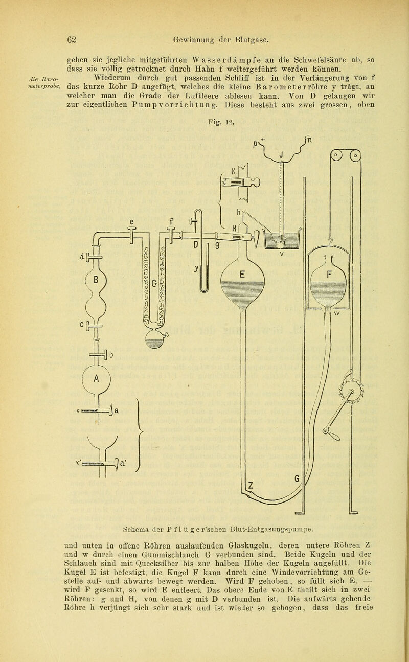 geben sie jegliche mitgefühlten Wasserdämpfe an die Schwefelsäure ab, so dass sie völlig getrocknet durch Hahn f weitergeführt werden können. die Baro- Wiederum durch gut passenden Schliß' ist in der Verlängerung von f meterprobe, das kurze Röhr D angefügt, welches die kleine Barometerröhre y trägt, an welcher man die Grade der Luftleere ablesen kann. Von D gelangen wir zur eigentlichen Pumpvorrichtung. Diese besteht aus zwei grossen, oben Fig. 12. Schema der P f 1 ü ger'schen Blut-Eiitgasungspurape. und unten in offene Röhren auslaufenden Glaskugeln, deren untere Röhren Z und w durch einen Gumniischlauch G verbunden sind. Beide Kugeln uud der Schlauch sind mit Quecksilber bis zur halben Höhe der Kugeln angefüllt. Die Kugel E ist befestigt, die Kugel F kann durch eine Windevorrichtung am Ge- stelle auf- und abwärts bewegt werden. Wird F gehoben, so füllt sich E, — wird F gesenkt, so wird E entleert. Das obere Ende von E theilt sich in zwei Röhren: g und H, von denen g mit D verbunden ist. Die aufwärts gehende Röhre h verjüngt sich sehr stark und ist wieder so gebogen, dass das freie