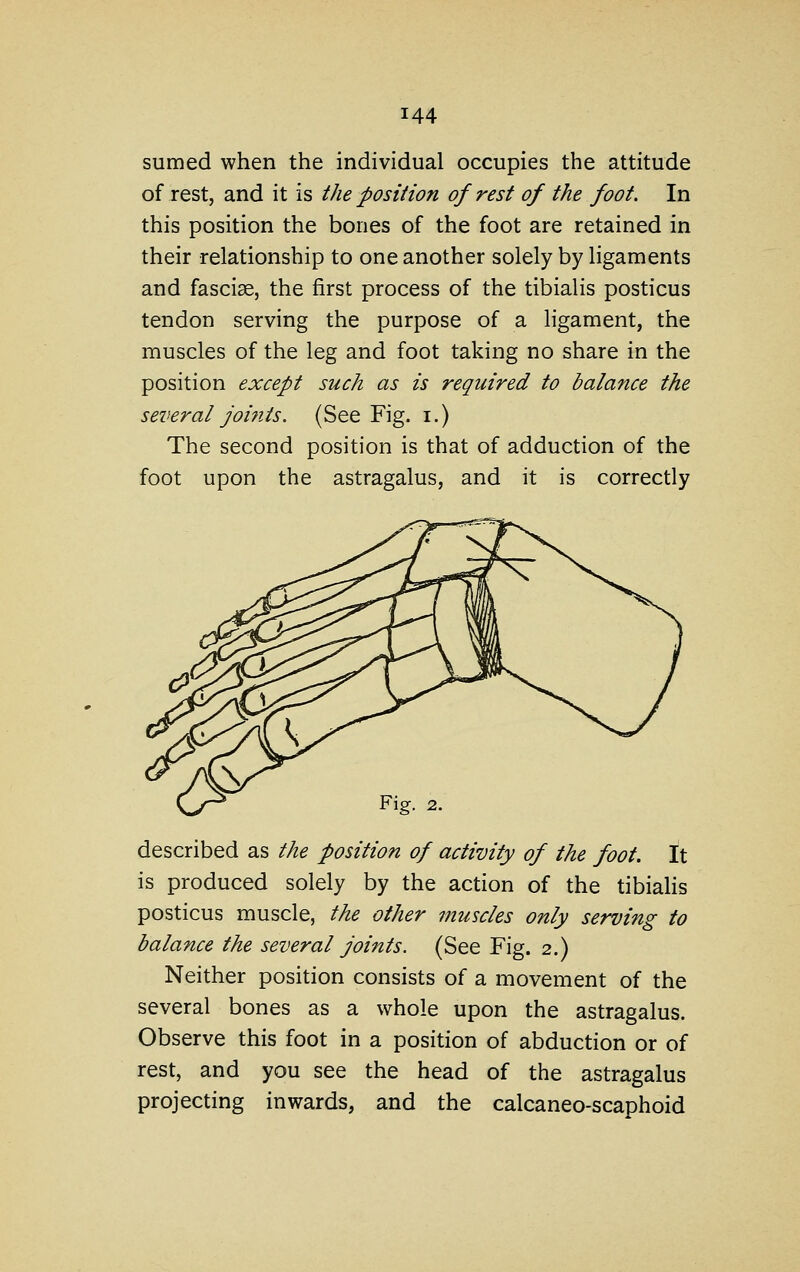 sumed when the individual occupies the attitude of rest, and it is the position of rest of the foot. In this position the bones of the foot are retained in their relationship to one another solely by ligaments and fasciae, the first process of the tibialis posticus tendon serving the purpose of a hgament, the muscles of the leg and foot taking no share in the position except such as is required to balance the several Joints. (See Fig. i.) The second position is that of adduction of the foot upon the astragalus, and it is correctly described as the position of activity of the foot. It is produced solely by the action of the tibialis posticus muscle, the other muscles only serving to balance the several joints. (See Fig. 2.) Neither position consists of a movement of the several bones as a whole upon the astragalus. Observe this foot in a position of abduction or of rest, and you see the head of the astragalus projecting inwards, and the calcaneo-scaphoid