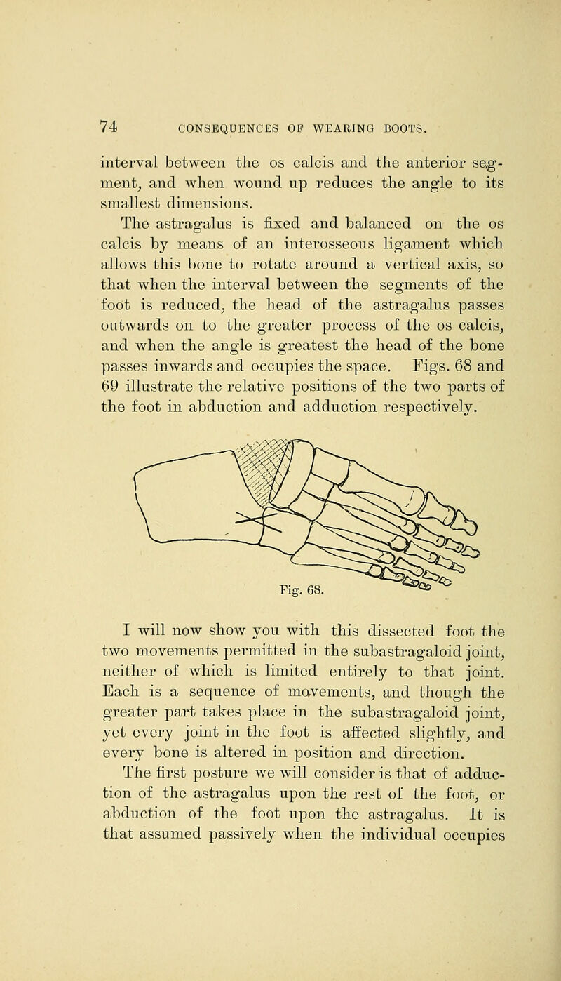 interval between the os calcis and the anterior seg- ment^ and when wound up reduces the angle to its smallest dimensions. The astragalus is fixed and balanced on the os calcis by means of an interosseous ligament which allows this bone to rotate around a vertical axis^ so that when the interval between the segments of the foot is reduced, the head of the astragalus passes outwards on to the greater process of the os calcis, and when the angle is greatest the head of the bone passes inwards and occupies the space. Figs. 68 and 69 illustrate the relative positions of the two parts of the foot in abduction and adduction respectively. Fig. 68 I will now show you with this dissected foot the two movements permitted in the subastragaloid joint, neither of which is limited entirely to that joint. Each is a sequence of mavements, and though the greater part takes place in the subastragaloid joint, yet every joint in the foot is affected slightly, and every bone is altered in position and direction. The first posture we will consider is that of adduc- tion of the astragalus upon the rest of the foot, or abduction of the foot upon the astragalus. It is that assumed passively when the individual occupies