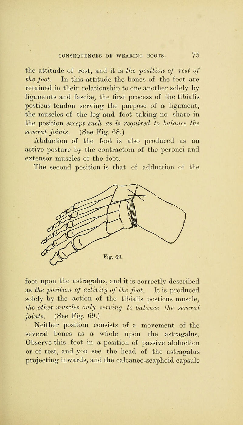 the attitude of rest^ and it is the position of rest of the foot. In this attitude the bones of the foot are retained in their relationship to one another solely by ligaments and fasciae, the first process of the tibialis posticus tendon serving the purpose of a ligament, the muscles of the leg and foot taking no share in the position except such as is 7'equired to balance the several joints. (See Fig. 68.) Abduction of the foot is also produced as an active posture by the contraction of the peronei and extensor muscles of the foot. The second position is that of adduction of the foot upon the astragalus, and it is correctly described as the pjosition of activity of the foot. It is produced solely by the action of the tibialis posticus muscle, the other muscles only serving to balance the several joints. (See Tig. 69.) Neither position consists of a movement of the several bones as a whole upon the astragalus. Observe this foot in a position of passive abduction or of rest, and you see the head of the astragalus projecting inwards, and the calcaneo-scaphoid capsule