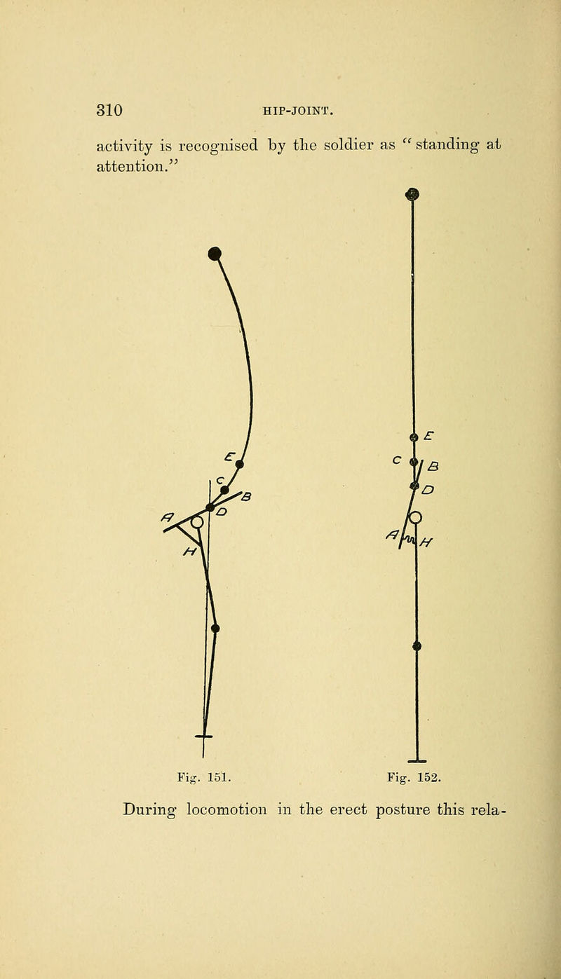 activity is recognised by the soldier as  standing at attention. C {\ {)£ *' J B D m H Fig. 151. Fig. 152. During locomotion in the erect posture this rela-