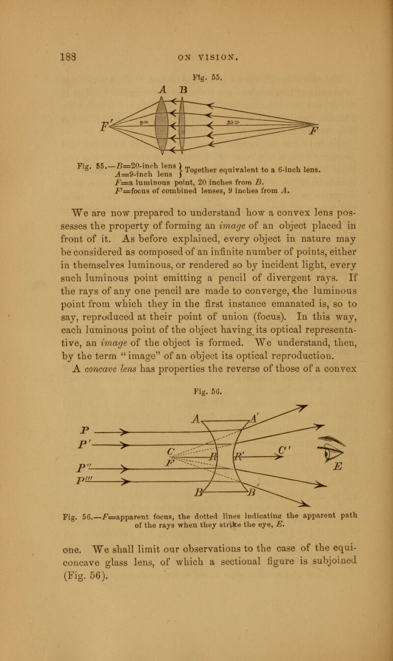 Fig. 55. A B Fig. *'-B^toohtoDM I Together equivalent to a 6-inch lens. F=a, luminous point, 20 inches from B. F'=foc\is of combined lenses, 9 inches from A. We are now prepared to understand how a convex lens pos- sesses the property of forming an image of an object placed in front of it. As before explained, every object in nature may be considered as composed of an infinite number of points, either in themselves luminous, or rendered so by incident light, every such luminous point emitting a pencil of divergent tsljs. If the rays of any one pencil are made to converge, -the luminous point from which they in the first instance emanated is, so to say, reproduced at their point of union (focus). In this way, each luminous point of the object havingits optical representa- tive, an image of the object is formed. We understand, then, by the term image of an object its optical reproduction. A concave lens has properties the reverse of those of a convex Fig. 5G. Fig. 56.—F=apparent focus, the dotted lines indicating the apparent path of the rays when they strike the eye, E. one. We shall limit our observations to the case of the equi- concave glass lens, of which a sectional figure is subjoined (Fig. 56).