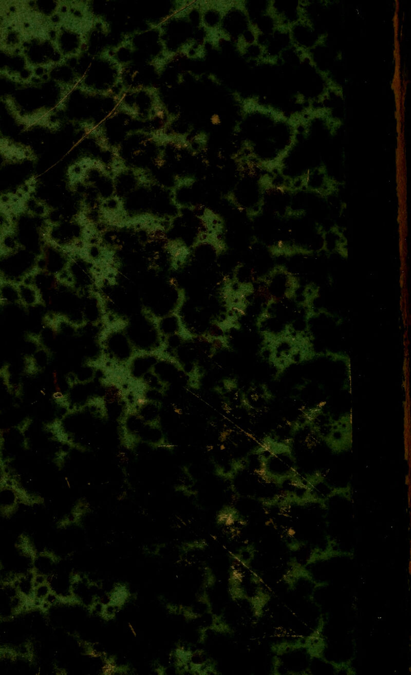 ,.«ilB«ï^ -éllf^^ ■-'■■>*^ ■'N, .-^