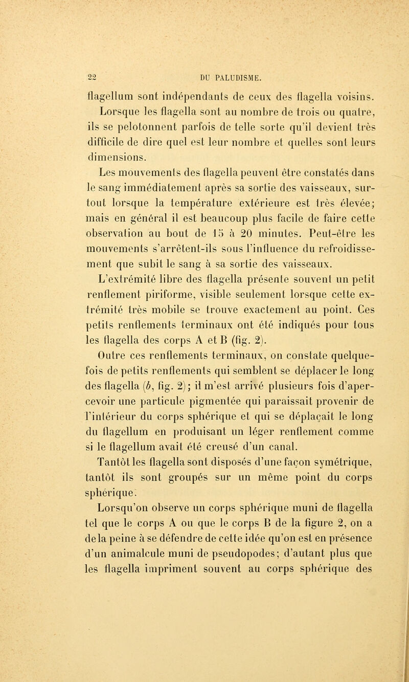 flagellum sont indépendants de ceux des flagella voisins. Lorsque les flagella sont au nombre de trois ou quatre, ils se pelotonnent parfois de telle sorte qu'il devient très difficile de dire quel est leur nombre et quelles sont leurs dimensions. Les mouvements des flagella peuvent être constatés dans le sang immédiatement après sa sortie des vaisseaux, sur- tout lorsque la température extérieure est très élevée; mais en général il est beaucoup plus facile de faire cette observation au bout de 15 à 20 minutes. Peut-êlre les mouvements s'arrêtent-ils sous l'influence du refroidisse- ment que subit le sang à sa sortie des vaisseaux. L'extrémité libre des flagella présente souvent un petit renflement piriforme, visible seulement lorsque cette ex- trémité très mobile se trouve exactement au point. Ces petits renflements terminaux ont été indiqués pour tous les flagella des corps A et B (fig. 2). Outre ces renflements terminaux, on constate quelque- fois de petits renflements qui semblent se déplacer le long des flagella [b^ fig. 2) ; il m'est arrivé plusieurs fois d'aper- cevoir une particule pigmentée qui paraissait provenir de l'intérieur du corps sphérique et qui se déplaçait le long du flagellum en produisant un léger renflement comme si le flagellum avait été creusé d'un canal. Tantôt les flagella sont disposés d'une façon symétrique, tantôt ils sont groupés sur un même point du corps spliérique. Lorsqu'on observe un corps sphérique muni de flagella tel que le corps A ou que le corps B de la figure 2, on a delà peine à se défendre de cette idée qu'on est en présence d'un animalcule muni de pseudopodes; d'autant plus que les flagella impriment souvent au corps sphérique des