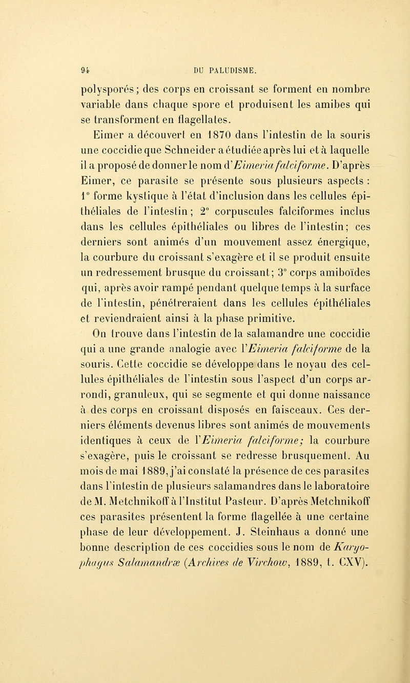 polysporés ; des corps en croissant se forment en nombre variable dans chaque spore et produisent les amibes qui se transforment en flagellâtes. Eimer a découvert en 1870 dans l'intestin de la souris une coccidie que Schneider a étudiée après lui et à laquelle il a proposé de donner le nom à'Eimeria falciforme. D'après Eimer, ce parasite se présente sous plusieurs aspects : r forme kystique à l'état d'inclusion dans les cellules épi- théliales de l'intestin ; T corpuscules falciformes inclus dans les cellules épithéliales ou libres de l'intestin; ces derniers sont animés d'un mouvement assez énergique, la courbure du croissant s'exagère et il se produit ensuite un redressement brusque du croissant; 3° corps amiboïdes qui, après avoir rampé pendant quelque temps à la surface de l'intestin, pénétreraient dans les cellules épithéliales et reviendraient ainsi à la phase primitive. On trouve dans l'intestin de la salamandre une coccidie qui a une grande analogie avec VEimeria faldforme de la souris. Cette coccidie se développe dans le noyau des cel- lules épithéliales de l'intestin sous l'aspect d'un corps ar- rondi, granuleux, qui se segmente et qui donne naissance à des corps en croissant disposés en faisceaux. Ces der- niers éléments devenus libres sont animés de mouvements identiques à ceux de VEimeria faldforme; la courbure s'exagère, puis le croissant se redresse brusquement. Au mois de mai \ 889, j'ai constaté la présence de ces parasites dans l'intestin de plusieurs salamandres dans le laboratoire de M. Metchnikoff à l'Institut Pasteur. D'après Metchnikoff ces parasites présentent la forme flagellée à une certaine phase de leur développement. J. Steinhaus a donné une bonne description de ces coccidies sous le nom de Karyo- phagus Salamandrse (Archives de VirchoiVj 1889, t. CXV).