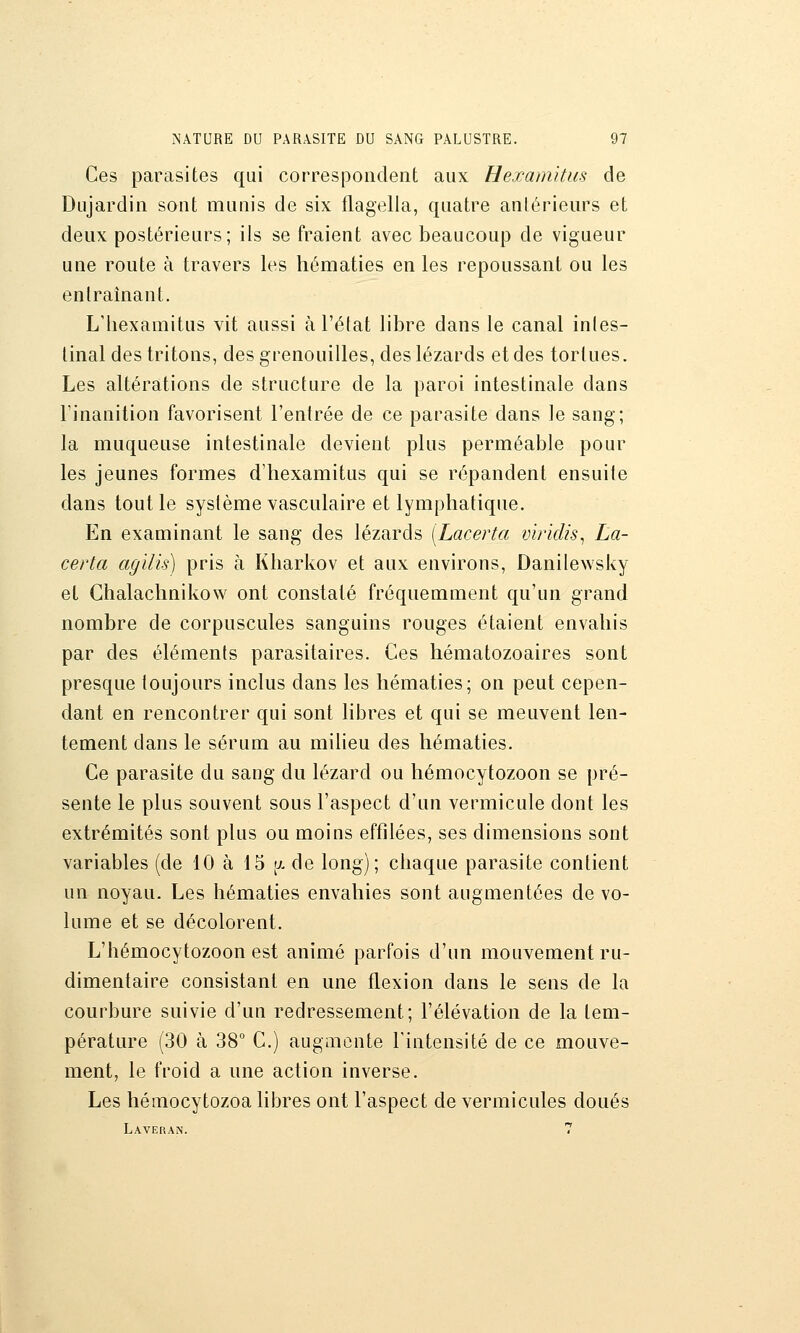 Ces parasites qui correspondent aux Hexamitus de Dujardin sont munis de six flagella, quatre anlérieurs et deux postérieurs; ils se fraient avec beaucoup de vigueur une route à travers les hématies en les repoussant ou les entraînant. L'iiexamitus vit aussi à l'état libre dans le canal intes- tinal des tritons, des grenouilles, des lézards et des tortues. Les altérations de structure de la paroi intestinale dans l'inanition favorisent l'entrée de ce parasite dans le sang; la muqueuse intestinale devient plus perméable pour les jeunes formes d'hexamitus qui se répandent ensuite dans tout le système vasculaire et lymphatique. En examinant le sang des lézards [Lacerta viridis^ La- certa agilis) pris à Kharkov et aux environs, Danilewsky et Chalaclinikow ont constaté fréquemment qu'un grand nombre de corpuscules sanguins rouges étaient envahis par des éléments parasitaires. Ces hématozoaires sont presque toujours inclus dans les hématies; on peut cepen- dant en rencontrer qui sont liJDres et qui se meuvent len- tement dans le sérum au milieu des hématies. Ce parasite du sang du lézard ou hémocytozoon se pré- sente le plus souvent sous l'aspect d'un vermicule dont les extrémités sont plus ou moins effilées, ses dimensions sont variables (de 10 à 15 [j^ de long); chaque parasite contient un noyau. Les hématies envahies sont augmentées de vo- lume et se décolorent. L'hémocytozoon est animé parfois d'un mouvement ru- dimentaire consistant en une flexion dans le sens de la courbure suivie d'un redressement; l'élévation de la tem- pérature (30 à 38° C.) augaiûnte l'intensité de ce mouve- ment, le froid a une action inverse. Les hémocytozoa libres ont l'aspect de vermicules doués Laveran. 7