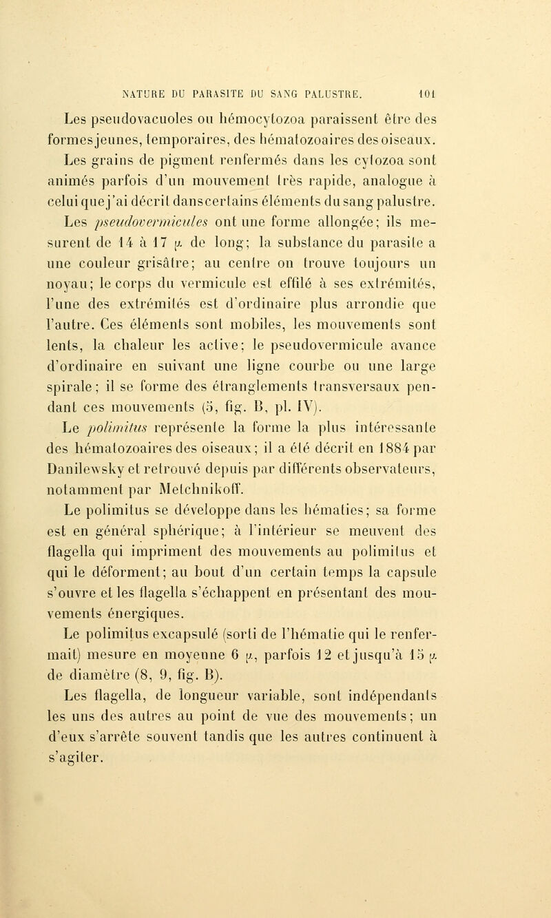 Les pseudovacuoles ou hémocytozoa paraissent être des formes jeunes, temporaires, des hématozoaires des oiseaux. Les grains de pigment renfermés dans les cylozoa sont animés parfois d'un mouvement très rapide, analogue à celui quej'ai décrit danscertains éléments du sang palustre. Les pseudover mie nies ont une forme allongée ; ils me- surent de 14 à 17 [x de long; la substance du parasite a une couleur grisâtre; au centre on trouve toujours un noyau; le corps du vermicule est eftîlé à ses extrémités, l'une des extrémités est d'ordinaire plus arrondie que l'autre. Ces éléments sont mobiles, les mouvements sont lents, la chaleur les active; le pseudovermicule avance d'ordinaire en suivant une ligne courbe ou une large spirale; il se forme des étranglements transversaux pen- dant ces mouvements (5, fig. B, pi. iV). Le poUmitus représente la forme la plus intéressante des hématozoaires des oiseaux; il a été décrit en 1884 par Danilewsky et retrouvé depuis par différents observateurs, notamment par Melchnikoff. Le polimitus se développe dans les hématies; sa forme est en général sphérique; à l'intérieur se meuvent des flagella qui impriment des mouvements au polimitus et qui le déforment; au bout d'un certain temps la capsule s'ouvre et les flagella s'échappent en présentant des mou- vements énergiques. Le polimitus excapsulé (sorti de l'hématie qui le renfer- mait) mesure en moyenne 6 [j., parfois 12 et jusqu'à 15 [j. de diamètre (8, 9, fig. B). Les flagella, de longueur variable, sont indépendants les uns des autres au point de vue des mouvements; un d'eux s'arrête souvent tandis que les autres continuent à s'agiter.