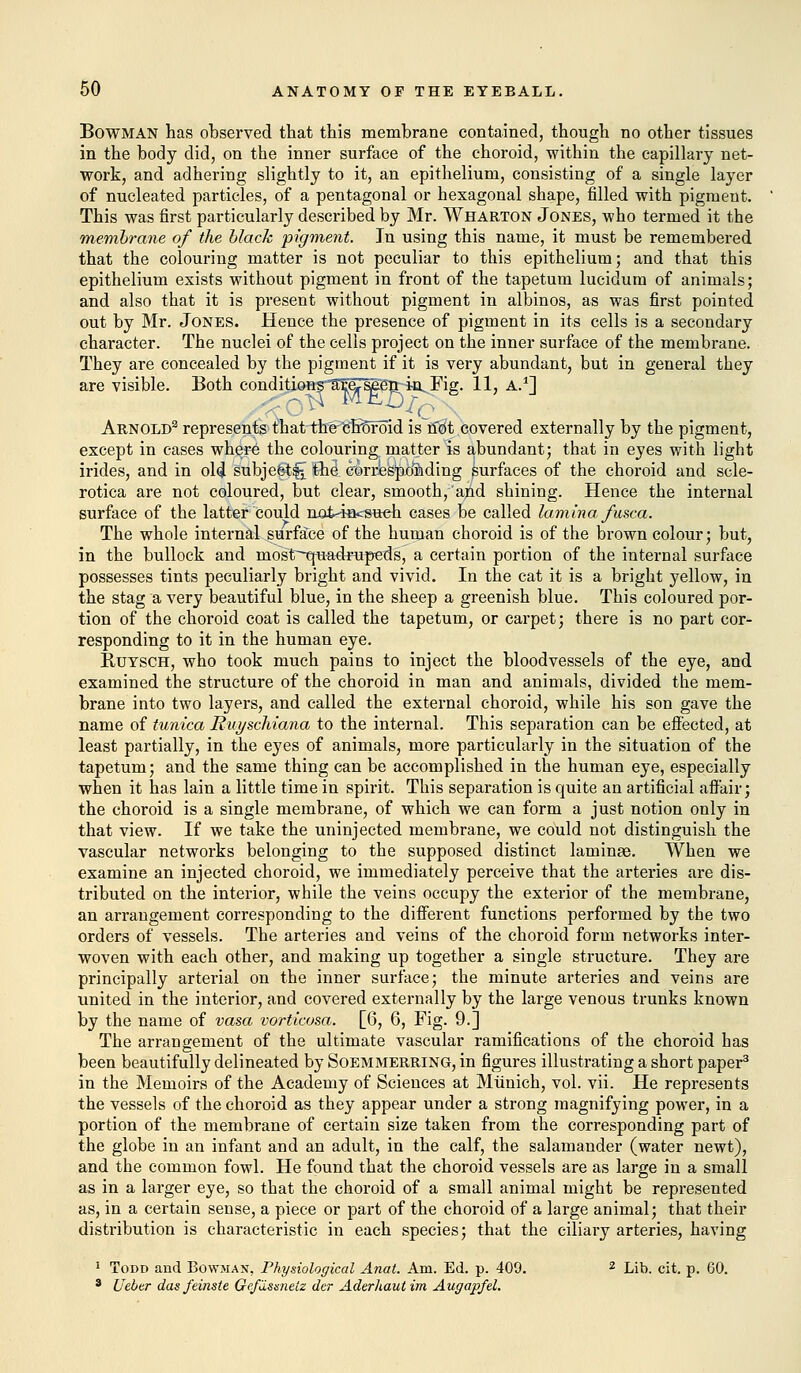 Bowman has observed that this membrane contained, though no other tissues in the body did, on the inner surface of the choroid, within the capillary net- work, and adhering slightly to it, an epithelium, consisting of a single layer of nucleated particles, of a pentagonal or hexagonal shape, filled with pigment. This was first particularly described by Mr. Wharton Jones, who termed it the membrane of the black pigment. In using this name, it must be remembered that the colouring matter is not peculiar to this epithelium; and that this epithelium exists without pigment in front of the tapetum lucidum of animals; and also that it is present without pigment in albinos, as was first pointed out by Mr. Jones. Hence the presence of pigment in its cells is a secondary character. The nuclei of the cells project on the inner surface of the membrane. They are concealed by the pigment if it is very abundant, but in general they are visible. Both conditionsaTJeTSeeri in. Fig. 11, A.1] y^cQP^ ^ X, Arnold3 represents that the choroid is ridt covered externally by the pigment, except in cases where the colouring matter is abundant; that in eyes with light irides, and in old subject^ the corresponding Surfaces of the choroid and scle- rotica are not coloured, but clear, smooth,'and shining. Hence the internal surface of the latter could not-incsuch cases be called lamina fusca. The whole internal surface of the human choroid is of the brown colour; but, in the bullock and most^uadrupeds, a certain portion of the internal surface possesses tints peculiarly bright and vivid. In the cat it is a bright yellow, in the stag a very beautiful blue, in the sheep a greenish blue. This coloured por- tion of the choroid coat is called the tapetum, or carpet; there is no part cor- responding to it in the human eye. Ruysch, who took much pains to inject the bloodvessels of the eye, and examined the structure of the choroid in man and animals, divided the mem- brane into two layers, and called the external choroid, while his son gave the name of tunica Ruyschiana to the internal. This separation can be effected, at least partially, in the eyes of animals, more particularly in the situation of the tapetum; and the same thing can be accomplished in the human eye, especially when it has lain a little time in spirit. This separation is quite an artificial affair; the choroid is a single membrane, of which we can form a just notion only in that view. If we take the uninjected membrane, we could not distinguish the vascular networks belonging to the supposed distinct laminae. When we examine an injected choroid, we immediately perceive that the artei'ies are dis- tributed on the interior, while the veins occupy the exterior of the membrane, an arrangement corresponding to the different functions performed by the two orders of vessels. The arteries and veins of the choroid form networks inter- woven with each other, and making up together a single structure. They are principally arterial on the inner surface; the minute arteries and veins are united in the interior, and covered externally by the large venous trunks known by the name of vasa vorticosa. [6, 6, Fig. 9.] The arrangement of the ultimate vascular ramifications of the choroid has been beautifully delineated by Soemmerring, in figures illustrating a short paper3 in the Memoirs of the Academy of Sciences at Munich, vol. vii. He represents the vessels of the choroid as they appear under a strong magnifying power, in a portion of the membrane of certain size taken from the corresponding part of the globe in an infant and an adult, in the calf, the salamander (water newt), and the common fowl. He found that the choroid vessels are as large in a small as in a larger eye, so that the choroid of a small animal might be represented as, in a certain sense, a piece or part of the choroid of a large animal; that their distribution is characteristic in each species; that the ciliary arteries, having 1 Todd and Bowman, Physiological Anat. Am. Ed. p. 409. 2 Lib. cit. p. 60. 3 Uebtr dasfeinste Gefiissnete der Aderhaul im Augapfel.