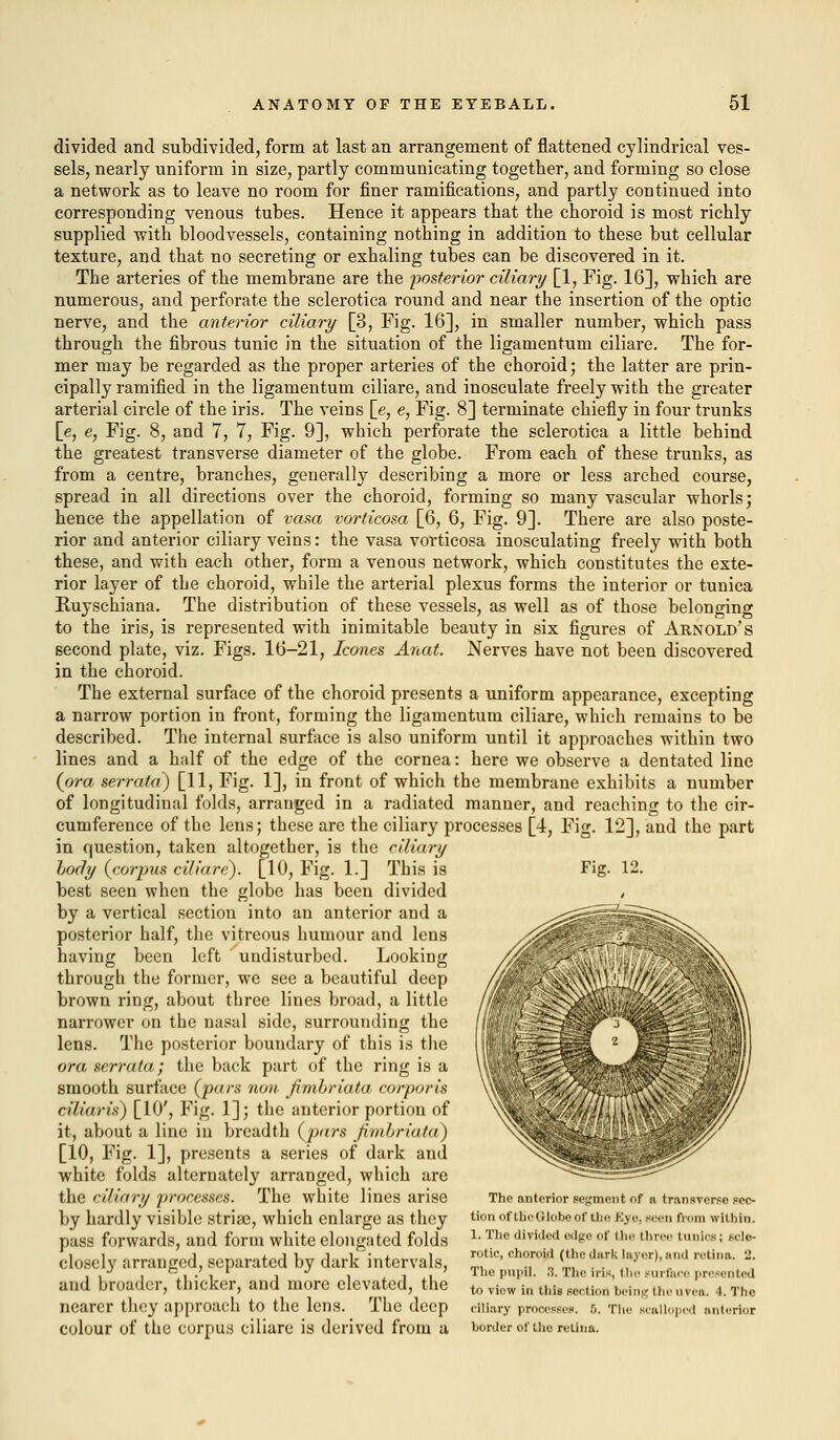 divided and subdivided, form at last an arrangement of flattened cylindrical ves- sels, nearly uniform in size, partly communicating together, and forming so close a network as to leave no room for finer ramifications, and partly continued into corresponding venous tubes. Hence it appears tbat the choroid is most richly supplied with bloodvessels, containing nothing in addition to these but cellular texture, and that no secreting or exhaling tubes can be discovered in it. The arteries of the membrane are the posterior ciliary [1, Fig. 16], which are numerous, and perforate the sclerotica round and near the insertion of the optic nerve, and the anterior ciliary [3, Fig. 16], in smaller number, which pass through the fibrous tunic in the situation of the ligamentum ciliare. The for- mer may be regarded as the proper arteries of the choroid; the latter are prin- cipally ramified in the ligamentum ciliare, and inosculate freely with the greater arterial circle of the iris. The veins [e, e, Fig. 8] terminate chiefly in four trunks [e, e, Fig. 8, and 7, 7, Fig. 9], which perforate the sclerotica a little behind the greatest transverse diameter of the globe. From each of these trunks, as from a centre, branches, generally describing a more or less arched course, spread in all directions over the choroid, forming so many vascular whorls; hence the appellation of vam vorticosa [6, 6, Fig. 9]. There are also poste- rior and anterior ciliary veins: the vasa vorticosa inosculating freely with both these, and with each other, form a venous network, which constitutes the exte- rior layer of tbe choroid, while the arterial plexus forms the interior or tunica Ruyschiana. The distribution of these vessels, as well as of those belonging to the iris, is represented with inimitable beauty in six figures of Arnold's second plate, viz. Figs. 16-21, Icones Anat. Nerves have not been discovered in the choroid. The external surface of the choroid presents a uniform appearance, excepting a narrow portion in front, forming the ligamentum ciliare, which remains to be described. The internal surface is also uniform until it approaches within two lines and a half of the edge of the cornea: here we observe a dentated line (ora serrata) [11, Fig. 1], in front of which the membrane exhibits a number of longitudinal folds, arranged in a radiated manner, and reaching to the cir- cumference of the lens; these are the ciliary processes [4, Fig. 12], and the part in question, taken altogether, is the ciliary hocly (corpus ciliare). [10, Fig. 1.] This is best seen when the globe has been divided by a vertical section into an anterior and a posterior half, the vitreous humour and lens having been left undisturbed. Looking through the former, we see a beautiful deep brown ring, about three lines broad, a little narrower on the nasal side, surrounding the lens. The posterior boundary of this is the ora serrata; the back part of the ring is a smooth surface (pars nan fimhriata corporis ciliaris) [10', Fig. 1]; the anterior portion of it, about a line in breadth (pars fimhriata) [10, Fig. 1], presents a series of dark and white folds alternately arranged, which are the ciliary processes. The white lines arise by hardly visible striae, which enlarge as they pass forwards, and form white elongated folds closely arranged, separated by dark intervals, and broader, thicker, and more elevated, the nearer they approach to the lens. The deep colour of the corpus ciliare is derived from a Fig. 12. mm v The anterior segment f a transverse sec- tion of the Globe of the Kyc. seen from within. 1. The divided edge of the three tunics; scle- rotic, choroid (thedark layer), and retina. 'J. The pupil. 3. The iris, the surface presented to view in this section being the uvea. t. The ciliary processes. 5, The scalloped anterior border of the retina.