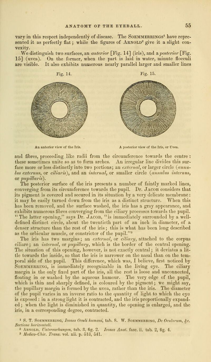 vary in this respect independently of disease. The Soemmerrings1 have repre- sented it as perfectly flat; while the figures of Arnold2 give it a slight con- vexity. We distinguish two surfaces, an anterior [Fig. 14] (iris), and a posterior [Fig. 15] (uvea). On the former, when the part is laid in water, minute flocculi are visible. It also exhibits numerous nearly parallel larger and smaller lines Pig. 14. '% An anterior view of the Iris. A posterior view of the Iris, or Uvea. and fibres, proceeding like radii from the circumference towards the centre : these sometimes unite so as to form arches. An irregular line divides this sur- face more or less distinctly into two portions; an external, or larger circle (anrm- lus extermis, or ciliaris), and an internal, or smaller circle (an nidus i)iternus, or pupillar is). The posterior surface of the iris presents a number of faintly marked lines, converging from its circumference towards the pupil. Dr. Jacob considers that its pigment is covered and secured in its situation by a very delicate membrane: it may be easily turned down from the iris as a distinct structure. When this has been removed, and the surface washed, the iris has a gray appearance, and exhibits numerous fibres converging from the ciliary processes towards the pupil. The latter opening, says Dr. Jacob, is immediately surrounded by a well- defined distinct circle, about the twentieth part of an inch in diameter, of a denser structure than the rest of the iris; this is what has been long described as the orbicular muscle, or constrictor of the pupil.3 The iris has two margins; an external, or ciliary, attached to the corpus ciliare; an internal, or pupillary, which is the border of the central opening. The situation of this opening, however, is not exactly central; it deviates a lit- tle towards the inside, so that the iris is narrower on the nasal than on the tem- poral side of the pupil. This difference, which was, I believe, first noticed by SOEMMERRING, is immediately recognizable in the living eye. The ciliary margin is the only fixed part of the iris, all the rest is loose and unconnected, floating in or washed by the aqueous humour. The very edge of the pupil, which is thin and sharply defined, is coloured by the pigment; we might say, the pupillary margin is formed by the uvea, rather than the iris. The diameter of the pupil varies in an inverse ratio to the quantity of light to which the eye is exposed : in a strong light it is contracted, and the iris proportionally expand- ed ; when the light is diminished in quantity, the opening is enlarged, and the iris, in a corresponding degree, contracted. ' 8. T. Soemmerrino, Icones Oculi humani, tab. 8. W. Soemmerrino, Dc Oculorum, ,jc Sectione horizontali. 2 Arnold, Untersuchungen, tub. 8, fig. 2. Icones Anal. fasc. ii. tub. 2, fig. 4. 3 Medico- Chir. Trans, vol. xii. p. 513, 541.