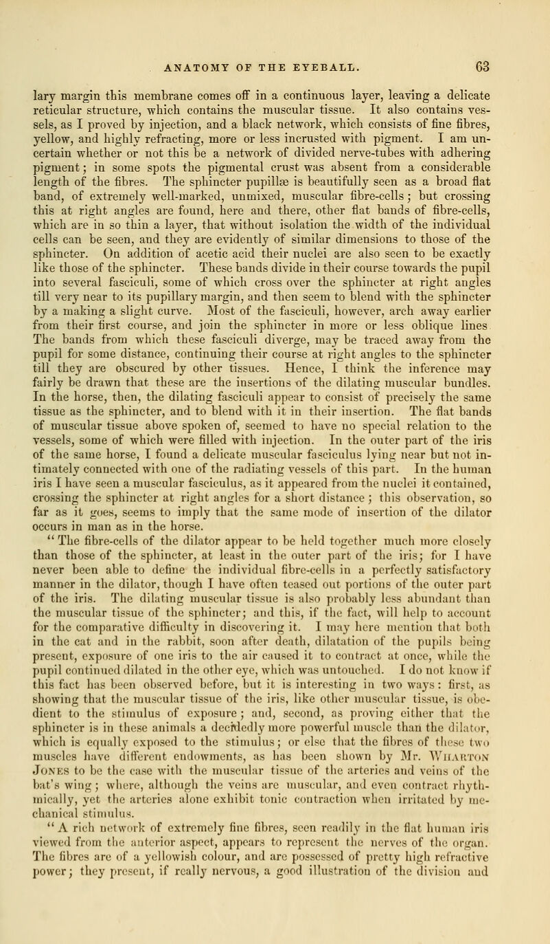 lary margin this membrane comes off in a continuous layer, leaving a delicate reticular structure, which contains the muscular tissue. It also contains ves- sels, as I proved by injection, and a black network, which consists of fine fibres, yellow, and highly refracting, more or less incrusted with pigment. I am un- certain whether or not this be a network of divided nerve-tubes with adhering pigment; in some spots the pigmental crust was absent from a considerable length of the fibres. The sphincter pupillas is beautifully seen as a broad flat band, of extremely well-marked, unmixed, muscular fibre-cells; but crossing this at right angles are found, here and there, other flat bands of fibre-cells, which are in so thin a layer, that without isolation the width of the individual cells can be seen, and they are evidently of similar dimensions to those of the sphincter. On addition of acetic acid their nuclei are also seen to be exactly like those of the sphincter. These bands divide in their course towards the pupil into several fasciculi, some of which cross over the sphincter at right angles till very near to its pupillary margin, and then seem to blend with the sphincter by a making a slight curve. Most of the fasciculi, however, arch away earlier from their first course, and join the sphincter in more or less oblique lines The bands from which these fasciculi diverge, may be traced away from the pupil for some distance, continuing their course at right angles to the sphincter till they are obscured by other tissues. Hence, I think the inference may fairly be drawn that these are the insertions of the dilating muscular bundles. In the horse, then, the dilating fasciculi appear to consist of precisely the same tissue as the sphincter, and to blend with it in their insertion. The flat bands of muscular tissue above spoken of, seemed to have no special relation to the vessels, some of which were filled with injection. In the outer part of the iris of the same horse, I found a delicate muscular fasciculus lying near but not in- timately connected with one of the radiating vessels of this part. In the human iris I have seen a muscular fasciculus, as it appeared from the nuclei it contained, crossing the sphincter at right angles for a short distance ; this observation, so far as it goes, seems to imply that the same mode of insertion of the dilator occurs in man as in the horse.  The fibre-cells of the dilator appear to be held together much more closely than those of the sphincter, at least in the outer part of the iris; for I have never been able to define the individual fibre-cells in a perfectly satisfactory manner in the dilator, though I have often teased out portions of the outer part of the iris. The dilating muscular tissue is also probably less abundant than the muscular tissue of the sphincter; and this, if the fact, will help to account for the comparative difficulty in discovering it. I may here mention that both in the cat and in the rabbit, soon after death, dilatation of the pupils being present, exposure of one iris to the air caused it to contract at once, while the pupil continued dilated in the other eye, which was untouched. I do not know if this fact has been observed before, but it is interesting in two ways: first, as showing that the muscular tissue of the iris, like other muscular tissue, is obe- dient to the stimulus of exposure ; and, second, as proving cither that the sphincter is in these animals a decidedly more powerful muscle than the dilator, which is equally exposed to the stimulus; or else that the fibres of these two muscles have different endowments, as has been shown by Mr. Wharton J0NE8 to be the case with the muscular tissue of the arteries and veins of the bat's wing ; where, although the veins are muscular, and even contract rhyth- mically, yet the arteries alone exhibit tonic contraction when irritated by me- chanical stimulus. A rich network of extremely fine fibres, seen readily in the flat human iris viewed from the anterior aspect, appears to represent the nerves of the organ. The fibres arc of a yellowish colour, and are possessed of pretty high refractive power; they present, if really nervous, a good illustration of the division and