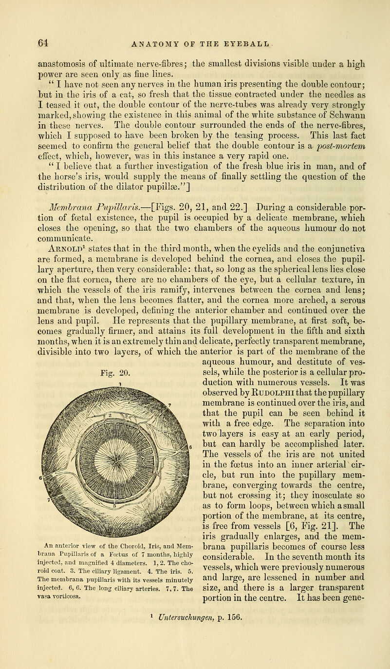 anastomosis of ultimate nerve-fibres; the smallest divisions visible nnder a high power are seen only as fine lines.  I have not seen any nerves in the human iris presenting the double contour; but in the iris of a cat, so fresh that the tissue contracted under the needles as I teased it out, the double contour of the nerve-tubes was already very strongly marked, showing the existence in this animal of the white substance of Schwann in these nerves. The doubie contour surrounded the ends of the nerve-fibres, which I supposed to have been broken by the teasing process. This last fact seemed to confirm the general belief that the double contour is a post-mortem effect, which, however, was in this instance a very rapid one.  I believe that a further investigation of the fresh blue iris in man, and of the horse's iris, would supply the means of finally settling the question of the distribution of the dilator pupillse.] Membrana Papillaris.—[Figs. 20, 21, and 22.] During a considerable por- tion of fetal existence, the pupil is occupied by a delicate membrane, which closes the opening, so that the two chambers of the aqueous humour do not communicate. Arnold1 states that in the third month, when the eyelids and the conjunctiva are formed, a membrane is developed behind the cornea, and closes the pupil- lary aperture, then very considerable: that, so long as the spherical lens lies close on the flat cornea, there are no chambers of the eye, but a cellular texture, in which the vessels of the iris ramify, intervenes between the cornea and lens; and that, when the lens becomes flatter, and the cornea more arched, a serous membrane is developed, defining the anterior chamber and continued over the lens and pupil. He represents that the pupillary membrane, at first soft, be- comes gradually firmer, and attains its full development in the fifth and sixth months, when it is an extremely thin and delicate, perfectly transparent membrane, divisible into two layers, of which the anterior is part of the membrane of the aqueous humour, and destitute of ves- sels, while the posterior is a cellular pro- duction with numerous vessels. It was observed by Rtjdolphi that the pupillary membrane is continued over the iris, and that the pupil can be seen behind it with a free edge. The separation into two layers is easy at an early period, but can hardly be accomplished later. The vessels of the iris are not united in the fetus into an inner arterial cir- cle, but run into the pupillary mem- brane, converging towards the centre, but not crossing it; they inosculate so as to form loops, between which a small portion of the membrane, at its centre, is free from vessels [6, Fig. 21]. The iris gradually enlarges, and the mem- brana pupillaris becomes of course less considerable. In the seventh month its vessels, which were previously numerous and large, are lessened in number and size, and there is a larger transparent portion in the centre. It has been gene- An anterior view of the Choroid, Iris, and Mem- hrana Pupillaris of a Fcetus of 7 months, highly injected, and magnified 4 diameters. 1,2. The cho- roid coat. 3. The ciliary ligament. 4. The iris. 5. The memhrana pupillaris with its vessels minutely injected. 6, 6. The long ciliary arteries. 7, 7. The vasa vorticosa. Untersuclmngen, p. 156.