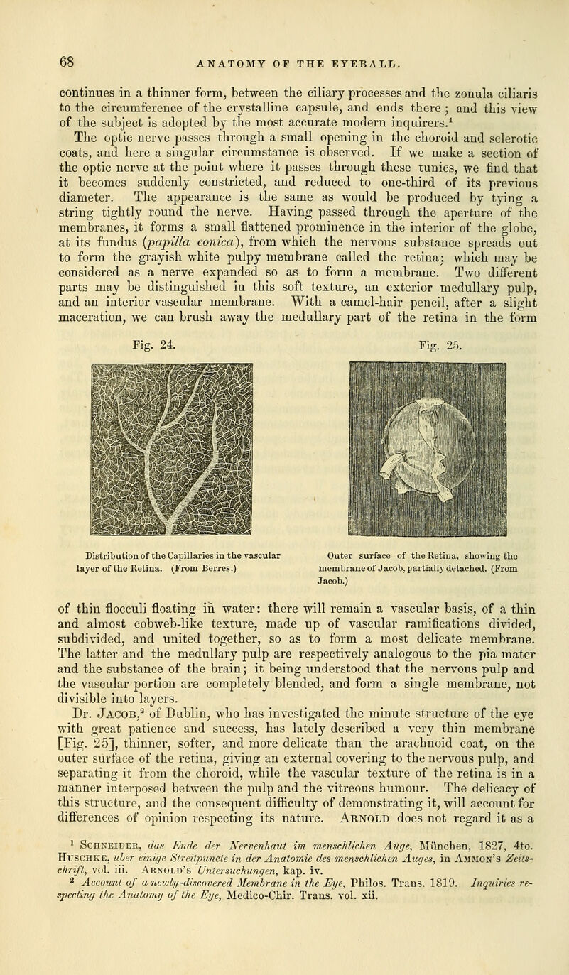 continues in a thinner form, between the ciliary processes and the zonula ciliaris to the circumference of the crystalline capsule, and ends there; and this view of the subject is adopted by the most accurate modern inquirers.1 The optic nerve passes through a small opening in the choroid and sclerotic coats, and here a singular circumstance is observed. If we make a section of the optic nerve at the point where it passes through these tunics, we find that it becomes suddenly constricted, and reduced to one-third of its previous diameter. The appearance is the same as would be produced by tying a string tightly round the nerve. Having passed through the aperture of the membranes, it forms a small flattened prominence in the interior of the globe, at its fundus {papilla conica), from which the nervous substance spreads out to form the grayish white pulpy membrane called the retina; which may be considered as a nerve expanded so as to form a membrane. Two different parts may be distinguished in this soft texture, an exterior medullary pulp, and an interior vascular membrane. With a camel-hair pencil, after a slight maceration, we can brush away the medullary part of the retina in the form Fig. 24. Fig. 25. Distribution of the Capillaries in the vascular layer of the Retina. (From Berres.) Outer surface of the Retina, showing the membrane of Jacob, partially detached. (From Jacob.) of thin flocculi floating in water: there will remain a vascular basis, of a thin and almost cobweb-like texture, made up of vascular ramifications divided, subdivided, and united together, so as to form a most delicate membrane. The latter and the medullary pulp are respectively analogous to the pia mater and the substance of the brain; it being understood that the nervous pulp and the vascular portion are completely blended, and form a single membrane, not divisible into layers. Dr. Jacob,3 of Dublin, who has investigated the minute structure of the eye with great patience and success, has lately described a very thin membrane [Fig. 25], thinner, softer, and more delicate than the arachnoid coat, on the outer surface of the retina, giving an external covering to the nervous pulp, and separating it from the choroid, while the vascular texture of the retina is in a manner interposed between the pulp and the vitreous humour. The delicacy of this structure, and the consequent difficulty of demonstrating it, will account for differences of opinion respecting its nature. Arnold does not regard it as a 1 Schneider, das Ende der Nervenhaut im mensehlichen Auge, Munch en, 1827, 4to. Huschke, uber einige Streitpuncte in der Anatomie des mensehlichen Auges, in Ammon's Zeits- chrift, vol. iii. Arnold's Untersuchungen, kap. iv. 2 Account of a newly-discovered Membrane in the Eye, Philos. Trans. 1819. Inquiries re- specting the Anatomy of the Eye, Medico-Chir. Trans, vol. xii.