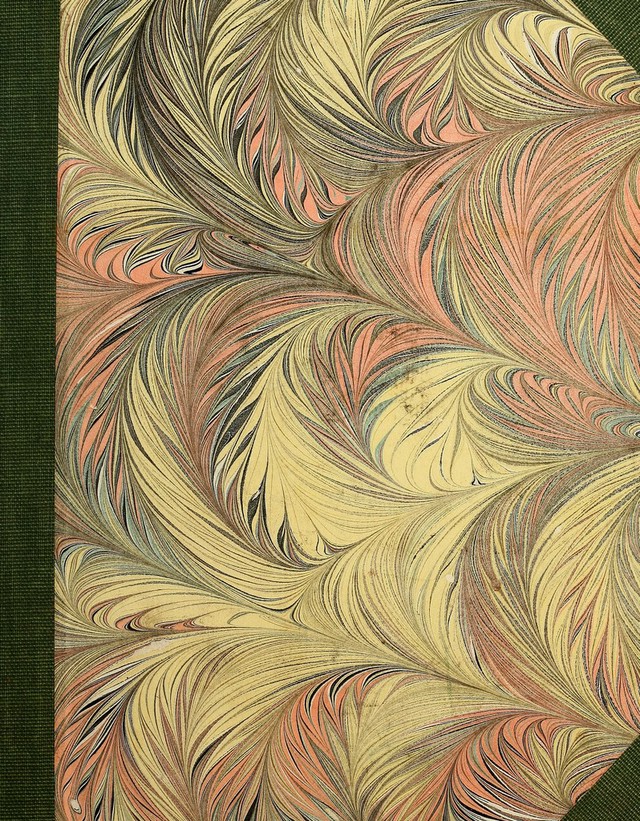 digitised image 1