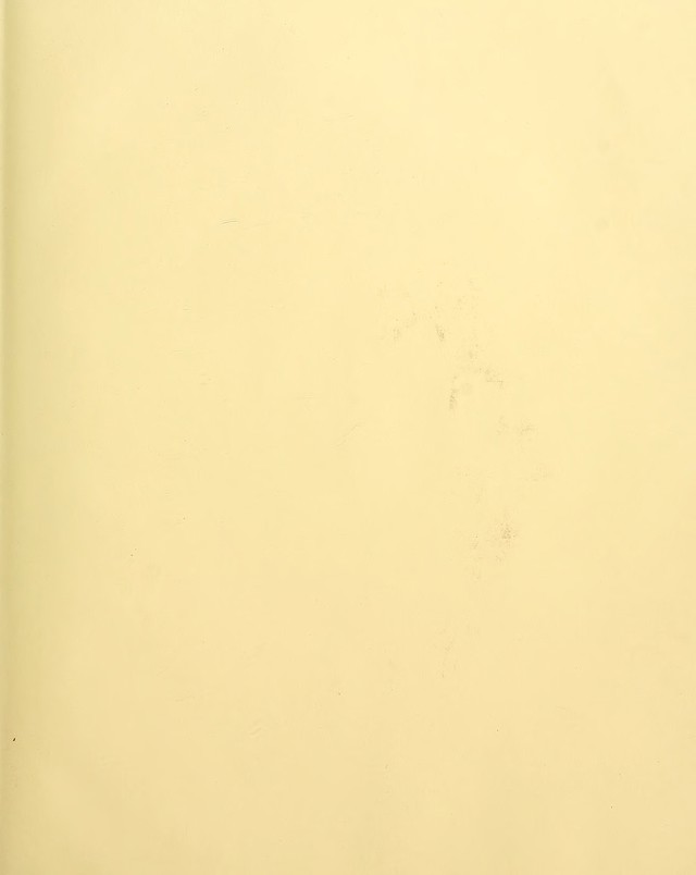digitised image 3