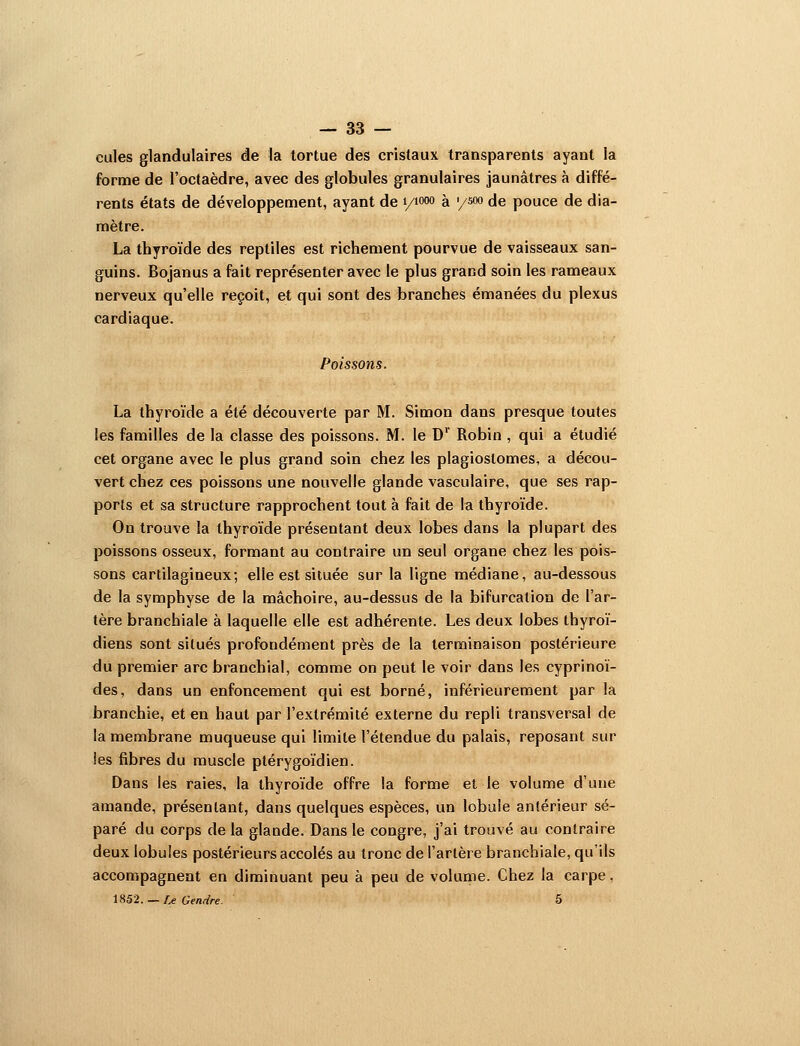 cules glandulaires de la tortue des cristaux transparents ayant la forme de l'octaèdre, avec des globules granulaires jaunâtres à diffé- rents états de développement, ayant de yiooo à '/soo de pouce de dia- mètre. La thyroïde des reptiles est richement pourvue de vaisseaux san- guins. Bojanus a fait représenter avec le plus grand soin les rameaux nerveux qu'elle reçoit, et qui sont des branches émanées du plexus cardiaque. Poissons. La thyroïde a été découverte par M. Simon dans presque toutes les familles de la classe des poissons. M. le D'' Robin , qui a étudié cet organe avec le plus grand soin chez les plagiostomes, a décou- vert chez ces poissons une nouvelle glande vasculaire, que ses rap- ports et sa structure rapprochent tout à fait de la thyroïde. On trouve la thyroïde présentant deux lobes dans la plupart des poissons osseux, formant au contraire un seul organe chez les pois- sons cartilagineux; elle est située sur la ligne médiane, au-dessous de la symphyse de la mâchoire, au-dessus de la bifurcation de l'ar- tère branchiale à laquelle elle est adhérente. Les deux lobes thyroï- diens sont situés profondément près de la terminaison postérieure du premier arc branchial, comme on peut le voir dans les cyprinoï- des, dans un enfoncement qui est borné, inférieurement par la branchie, et en haut par l'extrémité externe du repli transversal de la membrane muqueuse qui limite l'étendue du palais, reposant sur les fibres du muscle ptérygoïdien. Dans les raies, la thyroïde offre la forme et le volume d'une amande, présentant, dans quelques espèces, un lobule antérieur sé- paré du corps de la glande. Dans le congre, j'ai trouvé au contraire deux lobules postérieurs accolés au tronc de l'artère branchiale, qu'ils accompagnent en diminuant peu à peu de volume. Chez la carpe, 1852. — r^e Gendre. 5