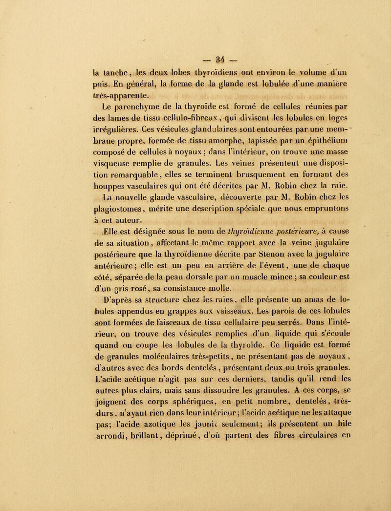 la tanche, les deux lobes thyroïdiens ont environ le volume d'un pois. En général, la forme de la glande est lobulée d'une manière très-apparente. Le parenchyme de la thyroïde est formé de cellules réunies par des lames de tissu cellulo-fibreux, qui divisent les lobules en loges irrégulières. Ces vésicules glandulaires sont entourées par une mem- brane propre, formée de tissu amorphe, tapissée par un épithélium composé de cellules à noyaux; dans l'intérieur, on trouve une masse visqueuse remplie de granules. Les veines présentent une disposi- tion remarquable, elles se terminent brusquement en formant des houppes vasculaires qui ont été décrites par M. Robin chez la raie. La nouvelle glande vasculaire, découverte par M. Robin chez les plagiostomes, mérite une description spéciale que nous empruntons à cet auteur. Elle est désignée sous le nom de thyroïdienne postérieure, à cause de sa situation, affectant le même rapport avec la veine jugulaire postérieure que la thyroïdienne décrite par Stenon avec la jugulaire antérieure; elle est un peu en arrière de l'évent, une de chaque côté, séparée de la peau dorsale par un muscle mince ; sa couleur est d'un gris rosé, sa consistance molle. D'après sa structure chez les raies, elle présente un amas de lo- bules appendus en grappes aux vaisseaux. Les parois de ces lobules sont formées de faisceaux de tissu cellulaire peu serrés. Dans l'inté- rieur, on trouve des vésicules remplies d'un liquide qui s'écoule quand on coupe les lobules de la thyroïde. Ce liquide est formé de granules moléculaires très-petits , ne présentant pas de noyaux, d'autres avec des bords dentelés , présentant deux ou trois granules. L'acide acétique n'agit pas sur ces derniers, tandis qu'il rend les autres plus clairs, mais sans dissoudre les granules. A ces corps, se joignent des corps sphériques, en petit nombre, dentelés, très- durs, n'ayant rien dans leur intérieur; l'acide acétique ne les attaque pas; l'acide azotique les jaunie seulement; ils présentent un hile arrondi, brillant, déprimé, d'où partent des fibres circulaires en