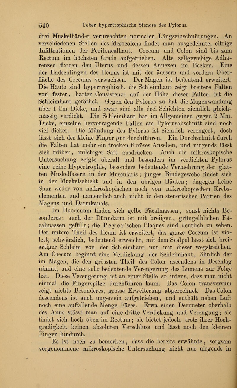 drei Muskelbänder verursachten normalen Längseinschnürungen. An verschiedenen Stellen des Mesocolons findet man ausgedehnte, eitrige Infiltrationen der Peritonealhaut. Coecum nnd Colon sind bis zum Rectum im höchsten Grade aufgetrieben. Alte zellgewebige Adhä- renzen fixiren den Uterus und dessen Annexen im Becken. Eine der Endschlingen des Ileums ist mit der äussern und vordem Ober- fläche des Coecums verwachsen. Der Magen ist bedeutend erweitert. Die Häute sind hypertrophisch, die Schleimhaut zeigt breitere Falten von fester, harter Gonsistenz; auf der Höhe dieser Falten ist die Schleimhaut geröthet. Gegen den Pylorus zu hat die Magenwandung über 1 Cm. Dicke, und zwar sind alle drei Schichten ziemlich gleich- massig verdickt. Die Schleimhaut hat im Allgemeinen gegen 2 Mm. Dicke, einzelne hervorragende Falten am Pylorusabschnitt sind noch viel dicker. Die Mündung des Pylorus ist ziemlich verengert, doch lässt sich der kleine Finger gut durchführen. Ein Durchschnitt durch die Falten hat mehr ein trocken fibröses Ansehen, und nirgends lässt sich trüber, milchiger Saft ausdrücken. Auch die mikroskopische Untersuchung zeigte überall und besonders im verdickten Pyloius eine reine Hypertrophie, besonders bedeutende Vermehrung der glat- ten Muskelfasern in der Muscularis ; junges Bindegewebe findet sich in der Muskelschicht und in den übrigen Häuten; dagegen keine Spur weder von makroskopischen noch von mikroskopischen Krebs- elementen und namentlich auch nicht in den stenotischen Partien des Magens und Darmkanals. Im Duodenum finden sich gelbe Fäcalmassen, sonst nichts Be- sonderes ; auch der Dünndarm ist mit breiigen, grüngelblichen Fä- calmassen gefüllt; die P e y e r 'sehen Plaques sind deutlich zu sehen. Der untere Theil des Ileum ist erweitert, das ganze Coecum ist vio- lett, schwärzlich, bedeutend erweicht, mit dem Scalpel lässt sich brei- artiger Schleim von der Schleimhaut nur mit dieser wegstreichen. Am Coecum beginnt eine Verdickung der Schleimhaut, ähnlich der im Magen, die den grössten Theil des Colon ascendens in Beschlag nimmt, und eine sehr bedeutende Verengerung des Lumens zur Folge hat. Diese Verengerung ist an einer Stelle so intens, dass man nicht einmal die Fingerspitze durchführen kann. Das Colon transversum zeigt nichts Besonderes, grosse Erweiterung abgerechnet. Das Colon descendens ist auch ungemein aufgetrieben, und enthält neben Luft noch eine auffallende Menge Fäces. Etwa einen Decimeter oberhalb des Anus stösst man auf eine dritte Verdickung und Verengung; sie findet sich hoch oben im Rectum; sie bietet jedoch, trotz ihrer Hoch- gradigkeit, keinen absoluten Verschluss und lässt noch den kleinen Finger hindurch. Es ist noch zu bemerken, dass die bereits erwähnte, sorgsam vorgenommene mikroskopische Untersuchung nicht nur nirgends in