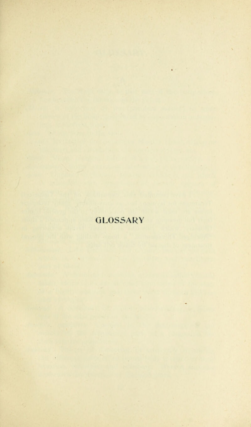 GLOSSARY