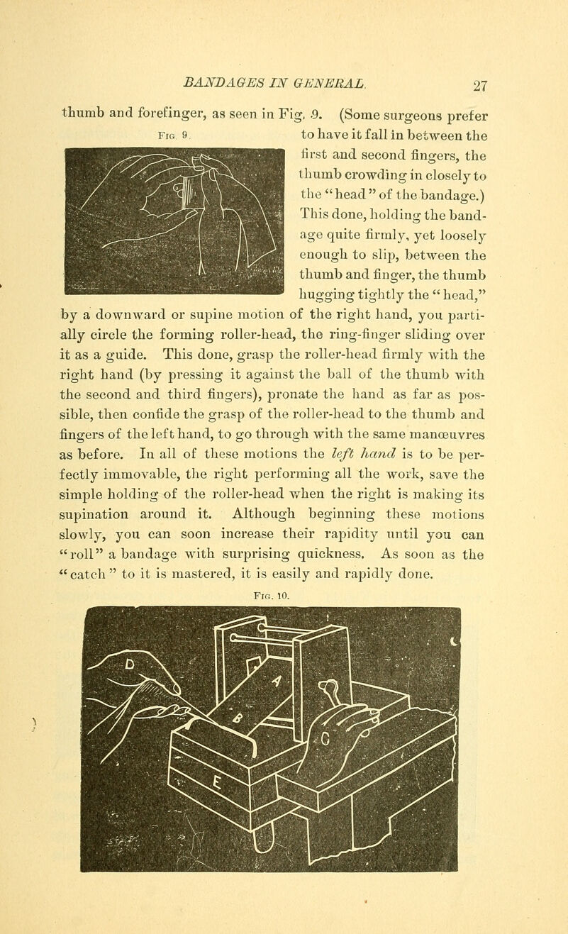 thumb and forefinger, as seen in Fig, .9. (Some surgeons prefer fig 9. to have it fall in between the first and second fingers, the thumb crowding in closely to the  head  of the bandage.) This done, holding the band- age quite firmly, yet loosely enough to slip, between the thumb and finger, the thumb hugging tightly the  head, by a downward or supine motion of the right hand, you parti- ally circle the forming roller-head, the ring-finger sliding over it as a guide. This done, grasp the roller-head firmly with the right hand (by pressing it against the ball of the thumb with the second and third fingers), pronate the hand as far as pos- sible, then confide the grasp of the roller-head to the thumb and fingers of the left hand, to go through with the same manoeuvres as before. In all of these motions the left hand is to be per- fectly immovable, the right performing all the work, save the simple holding of the roller-head when the right is making its supination around it. Although beginning these motions slowly, you can soon increase their rapidity until you can roll a bandage with surprising quickness. As soon as the catch  to it is mastered, it is easily and rapidly done. Fig. 10.