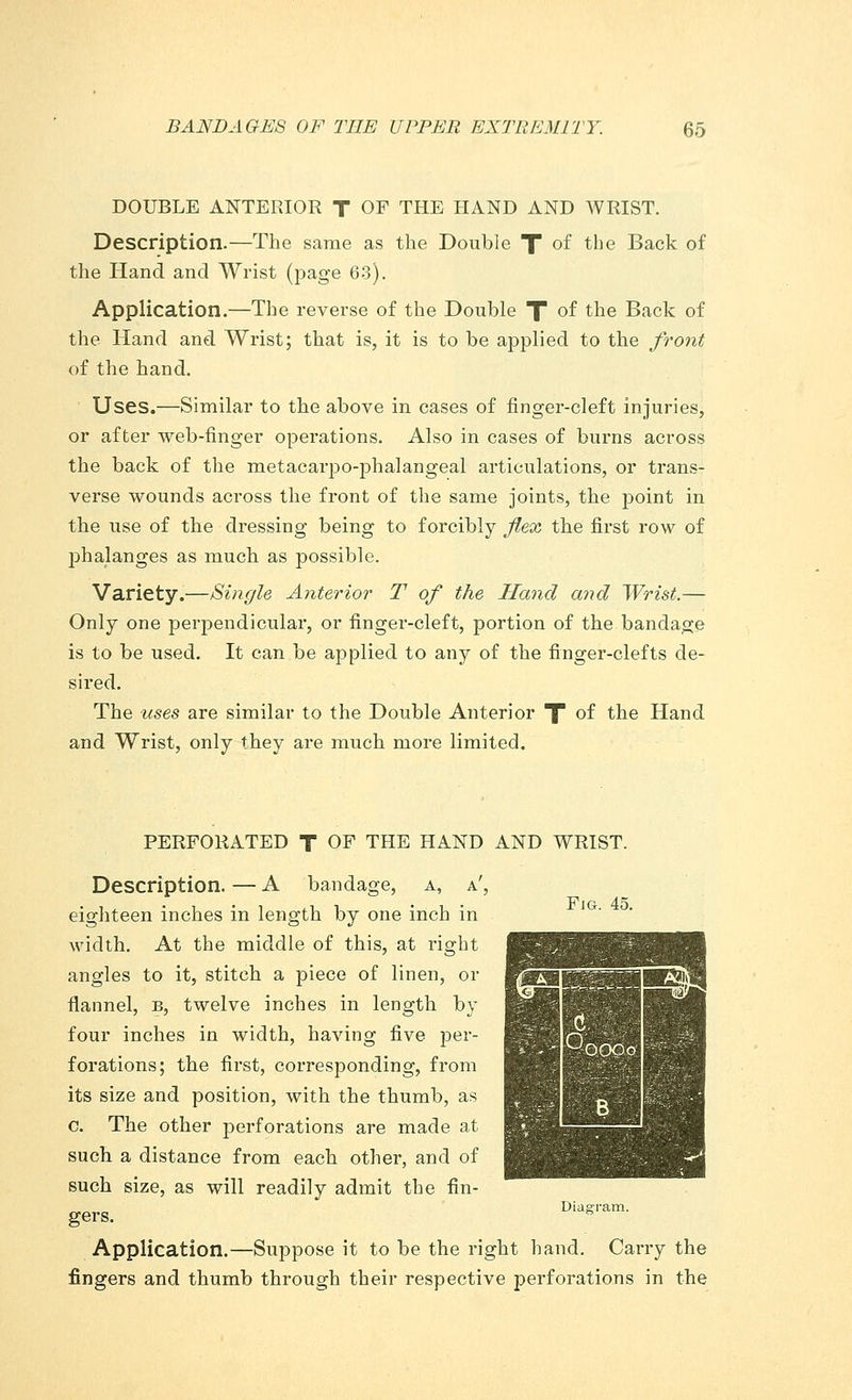 DOUBLE ANTERIOR T OF THE HAND AND WRIST. Description.—The same as the Double T of the Back of the Hand and Wrist (page 63). Application.—The reverse of the Double X °f tne Back of the Hand anel Wrist; that is, it is to be applied to the front of the hand. Uses.—Similar to the above in cases of finger-cleft injuries, or after web-finger operations. Also in cases of burns across the back of the metacarpophalangeal articulations, or trans- verse wounds across the front of the same joints, the point in the use of the dressing being to forcibly flex the first row of phalanges as much as possible. Variety.—Single Anterior T of the Hand and Wrist.— Only one perpendicular, or finger-cleft, portion of the bandage is to be used. It can be applied to any of the finger-clefts de- sired. The uses are similar to the Double Anterior T of the Hand and Wrist, only they are much more limited. PERFORATED T OF THE HAND AND WRIST. Fig. 45. Description. — A bandage, a, a', eighteen inches in length by one inch in width. At the middle of this, at right angles to it, stitch a piece of linen, or flannel, b, twelve inches in length by four inches in width, having five per- forations; the first, corresponding, from its size and position, with the thumb, as c. The other perforations are made at such a distance from each other, and of such size, as will readily admit the fin- _. Diagram. gers.  Application.—Suppose it to be the right hand. Carry the fingers and thumb through their respective perforations in the