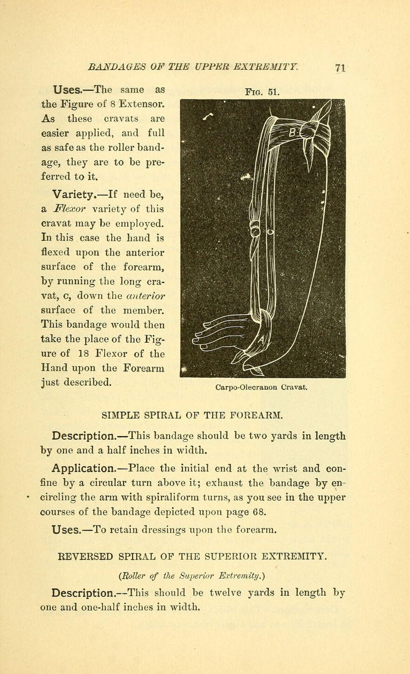 Uses.—The same as the Figure of 8 Extensor. As these cravats are easier applied, and full as safe as the roller band- age, they are to be pre- ferred to it. Variety.—If need be, a Flexor variety of this cravat may be employed. In this case the hand is flexed upon the anterior surface of the forearm, by running the long cra- vat, c, down the anterior surface of the member. This bandage would then take the place of the Fig- ure of 18 Flexor of the Hand upon the Forearm just described. Fig. 51. Carpo-Olecranon Cravat. SIMPLE SPIRAL OF THE FOREARM. Description.—This bandage should be two yards in length by one and a half inches in width. Application.—Place the initial end at the wrist and con- fine by a circular turn above it; exhaust the bandage by en- circling the arm with spiraliform turns, as you see in the upper courses of the bandage depicted upon page 68. Uses.—To retain dressings upon the forearm. REVERSED SPIRAL OF THE SUPERIOR EXTREMITY. {Roller of the Superior Extremity.) Description.—This should be twelve yards in length by one and one-half inches in width.