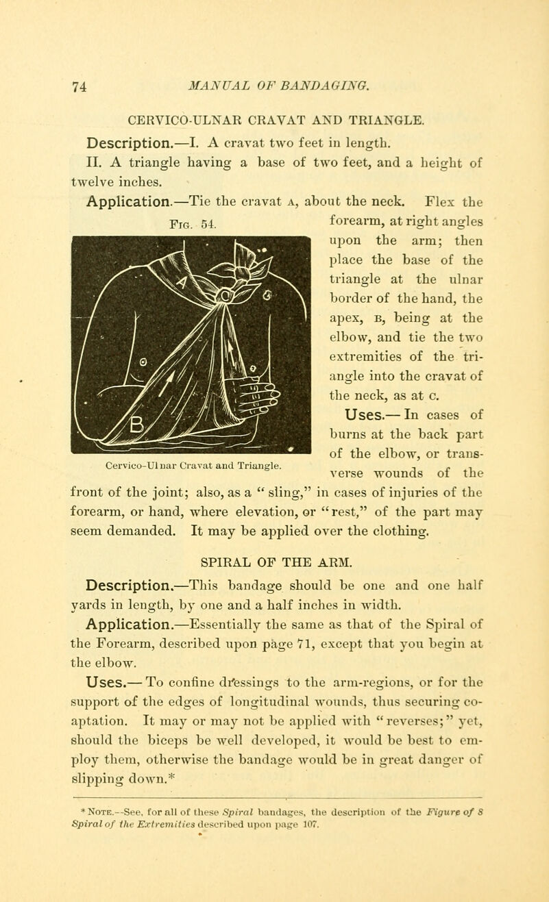 CERVICO-ULNAR CRAVAT AND TRIANGLE. Description.—I. A cravat two feet in length. II. A triangle having a base of two feet, and a height of twelve inches. Application.—Tie the cravat a, about the neck. Flex the Yjg. 54. forearm, at right angles upon the arm; then place the base of the triangle at the ulnar border of the hand, the apex, b, being at the elbow, and tie the two extremities of the tri- angle into the cravat of the neck, as at c. Uses.— In cases of burns at the back part of the elbow, or trans- Cervico-Ulnar Cravat and Triangle. , n , verse wounds ol the front of the joint; also, as a  sling, in cases of injuries of the forearm, or hand, where elevation, or rest, of the part may seem demanded. It may be applied over the clothing. SPIRAL OF THE ARM. Description.—This bandage should be one and one half yards in length, by one and a half inches in width. Application.—Essentially the same as that of the Spiral of the Forearm, described upon page 71, except that you begin at the elbow. Uses.— To confine dressings to the arm-regions, or for the support of the edges of longitudinal wounds, thus securing co- aptation. It may or may not be applied with reverses; yet, should the biceps be well developed, it would be best to em- ploy them, otherwise the bandage would be in great danger of slipping down.* * Note.--See. for all of these Spiral bandages, the description of the Figure of 8 Spiral of the Extremities described upon page 107.