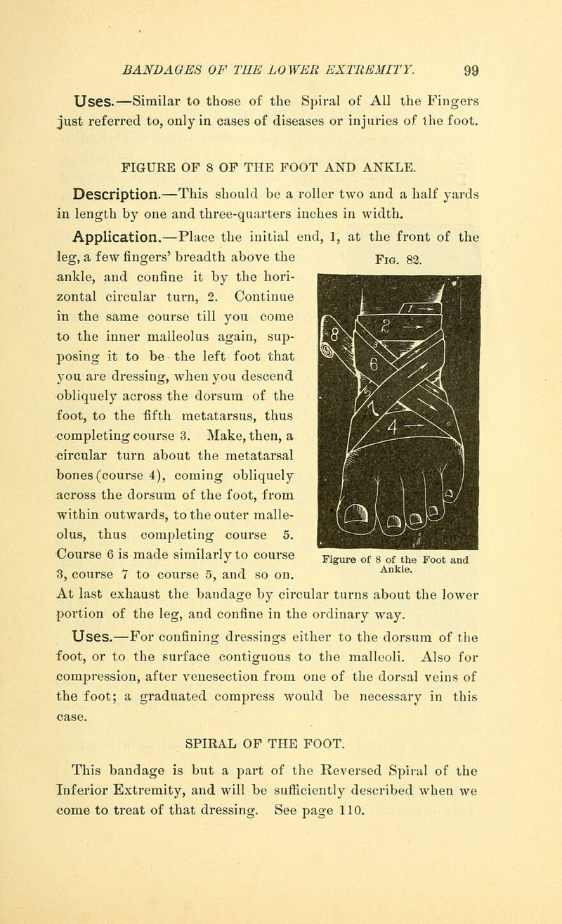 Uses.—Similar to those of the Spiral of All the Fingers just referred to, only in cases of diseases or injuries of the foot. FIGURE OF 8 OF THE FOOT AND ANKLE. Description.—This should be a roller two and a half yards in length by one and three-quarters inches in width. Application.—Place the initial end, 1, at the front of the leg, a few fingers' breadth above the Yiq. 82. ankle, and confine it by the hori- zontal circular turn, 2. Continue in the same course till you come to the inner malleolus again, sup- posing it to be the left foot that you are dressing, when you descend obliquely across the dorsum of the foot, to the fifth metatarsus, thus completing course 3. Make, then, a circular turn about the metatarsal bones (course 4), coming obliquely across the dorsum of the foot, from within outwards, to the outer malle- olus, thus completing course 5. Course 6 is made similarly to course 3, course 7 to course 5, and so on. At last exhaust the bandage by circular turas about the lower portion of the leg, and confine in the ordinary way. Uses.—For confining dressings either to the dorsum of the foot, or to the surface contiguous to the malleoli. Also for compression, after venesection from one of the dorsal veins of the foot; a graduated compress would be necessary in this case, SPIRAL OF THE FOOT. This bandage is but a part of the Reversed Spiral of the Inferior Extremity, and will be sufficiently described when we come to treat of that dressing. See page 110. Figure of 8 of the Foot and Ankle.