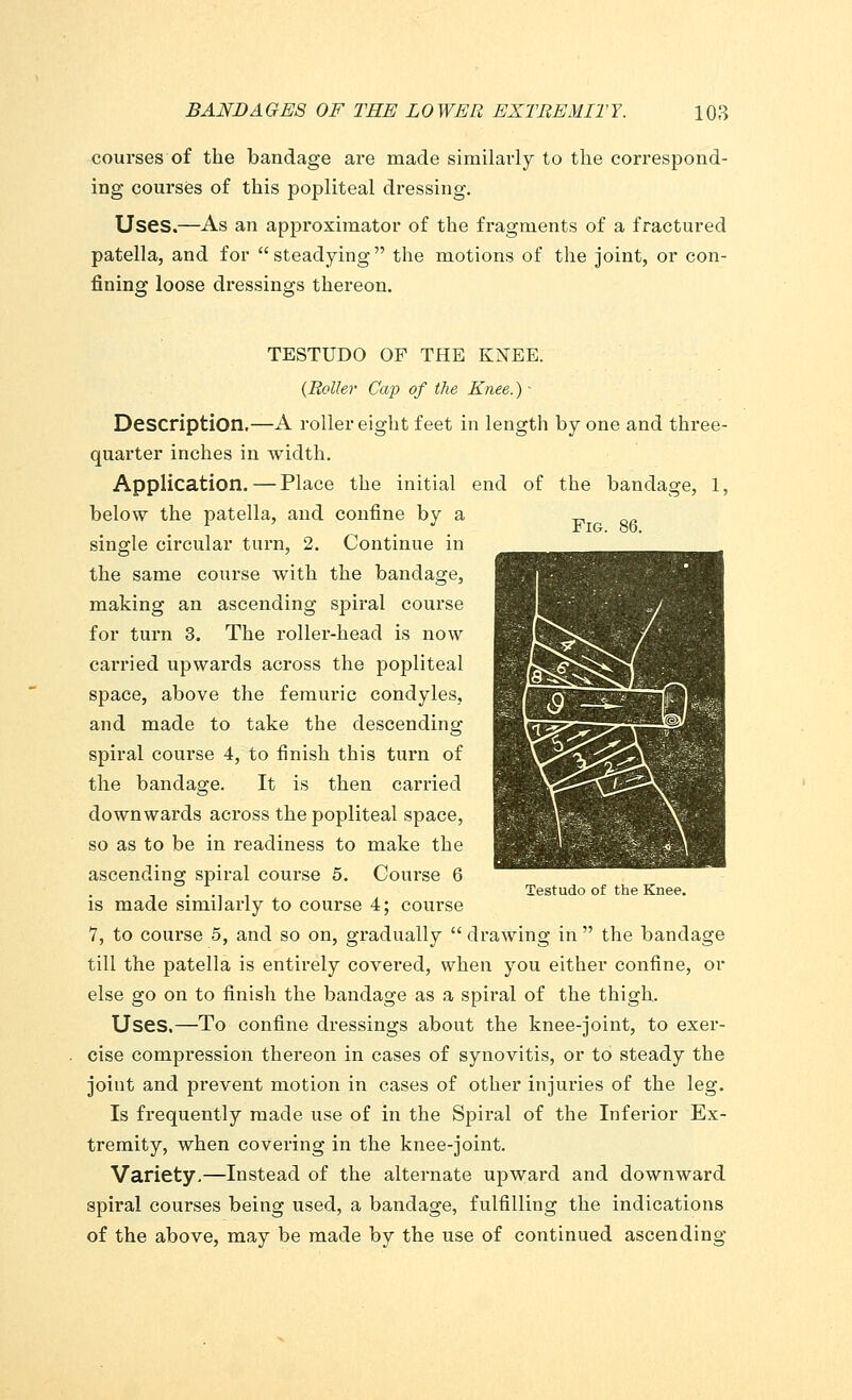 courses of the bandage are made similarly to the correspond- ing courses of this popliteal dressing. Uses.—As an approximator of the fragments of a fractured patella, and for steadying the motions of the joint, or con- fining loose dressings thereon. TESTUDO OF THE KNEE. {Roller Cap of the Knee.) • Description.—A roller eight feet in length by one and three- quarter inches in width. Application. — Place the initial end of the bandage, 1, below the patella, and confine by a single circular turn, 2. Continue in the same course with the bandage, making an ascending spiral course for turn 3. The roller-head is now carried upwards across the popliteal space, above the femuric condyles, and made to take the descending spiral course 4, to finish this turn of the bandage. It is then carried downwards across the popliteal space, so as to be in readiness to make the ascending spiral course 5. Course 6 . . Testudo of the Knee. is made similarly to course 4; course 1, to course 5, and so on, gradually  drawing in  the bandage till the patella is entirely covered, when you either confine, or else go on to finish the bandage as a spiral of the thigh. Uses.—To confine dressings about the knee-joint, to exer- cise compression thereon in cases of synovitis, or to steady the joint and prevent motion in cases of other injuries of the leg. Is frequently made use of in the Spiral of the Inferior Ex- tremity, when covering in the knee-joint. Variety.—Instead of the alternate upward and downward spiral courses being used, a bandage, fulfilling the indications of the above, may be made by the use of continued ascending