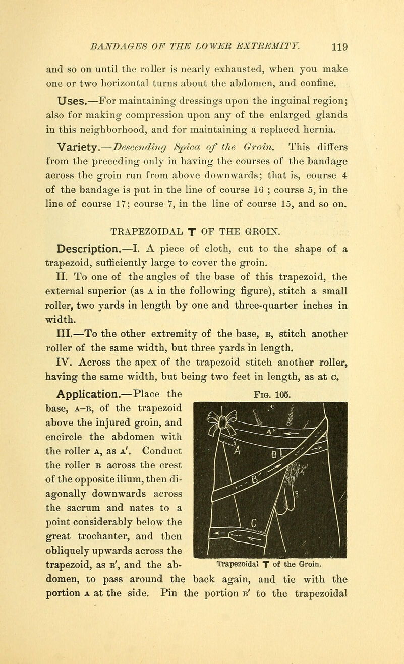 and so on until the roller is nearly exhausted, when you make one or two horizontal turns about the abdomen, and confine. Uses.—For maintaining dressings upon the inguinal region; also for making compression upon any of the enlarged glands in this neighborhood, and for maintaining a replaced hernia. Variety.—Descending Spica of the Groin. This differs from the preceding only in having the courses of the bandage across the groin run from above downwards; that is, course 4 of the bandage is put in the line of course 16 ; course 5, in the line of course 17; course 7, in the line of course 15, and so on. TRAPEZOIDAL T OF THE GROIN. Description.—I. A piece of cloth, cut to the shape of a trapezoid, sufficiently large to cover the groin. II. To one of the angles of the base of this trapezoid, the external superior (as a in the following figure), stitch a small roller, two yards in length by one and three-quarter inches in width. III.—To the other extremity of the base, b, stitch another roller of the same width, but three yards in length. IV. Across the apex of the trapezoid stitch another roller, having the same width, but being two feet in length, as at c. Application.—Place the Fig. 105. base, a-b, of the trapezoid above the injured groin, and encircle the abdomen with the roller a, as a'. Conduct the roller b across the crest of the opposite ilium, then di- agonally downwards across the sacrum and nates to a point considerably below the great trochanter, and then obliquely upwards across the trapezoid, as b', and the ab- Trapezoidal T of the Groin, domen, to pass around the back again, and tie with the portion a at the side. Pin the portion b' to the trapezoidal