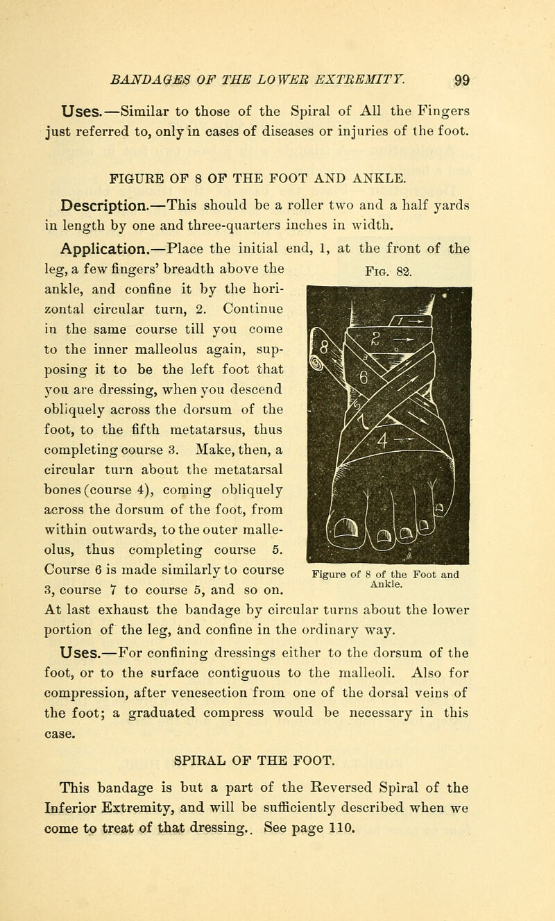 Uses.—Similar to those of the Spiral of All the Fingers just referred to, only in cases of diseases or injuries of the foot. FIGURE OF 8 OF THE FOOT AND ANKLE. Description.—This should be a roller two and a half yards in length by one and three-quarters inches in width. Application.—Place the initial end, 1, at the front of the leg, a few fingers' breadth above the Fig.. ankle, and confine it by the hori- zontal circular turn, 2. Continue in the same course till you come to the inner malleolus again, sup- posing it to be the left foot that you are dressing, when you descend obliquely across the dorsum of the foot, to the fifth metatarsus, thus completing course 3. Make, then, a circular turn about the metatarsal bones (course 4), coming obliquely across the dorsum of the foot, from within outwards, to the outer malle- olus, thus completing course 5. Course 6 is made similarly to course 3, course 7 to course 5, and so on. At last exhaust the bandage by circular turns about the lower portion of the leg, and confine in the ordinary way. Uses.—For confining dressings either to the dorsum of the foot, or to the surface contiguous to the malleoli. Also for compression, after venesection from one of the dorsal veins of the foot; a graduated compress would be necessary in this case. SPIRAL OF THE FOOT. This bandage is but a part of the Reversed Spiral of the Inferior Extremity, and will be sufiiciently described when we come to treat of that dressing.. See page 110. Figure of 8 of the Foot and Ankle.