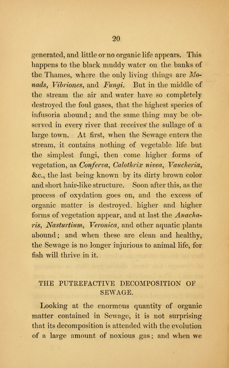 generated, and little or no organic life appears. This happens to the black muddy water on the banks of the Thames, where the only living things are Mo- nads, Vibriones, and Fungi. But in the middle of the stream the air and water have so completely destroyed the foul gases, that the highest species of infusoria abound; and the same thing may be ob- served in every river that receives' the sullage of a large town. At first, when the Sewage enters the stream, it contains nothing of vegetable life but the simplest fungi, then come higher forms of vegetation, as Conferva, Calothrix nivea, Vancheria, &c, the last being known by its dirty brown color and short hair-like structure. Soon after this, as the process of oxydation goes on, and the excess of organic matter is destroyed, higher and higher forms of vegetation appear, and at last the Anacha- ris, Nasturtium, Veronica, and other aquatic plants abound; and when these are clean and healthy, the Sewage is no longer injurious to animal life, for fish will thrive in it. THE PUTREFACTIVE DECOMPOSITION OF SEWAGE. Looking at the enormous quantity of organic matter contained in Sewage, it is not surprising that its decomposition is attended with the evolution of a large amount of noxious gas; and when we