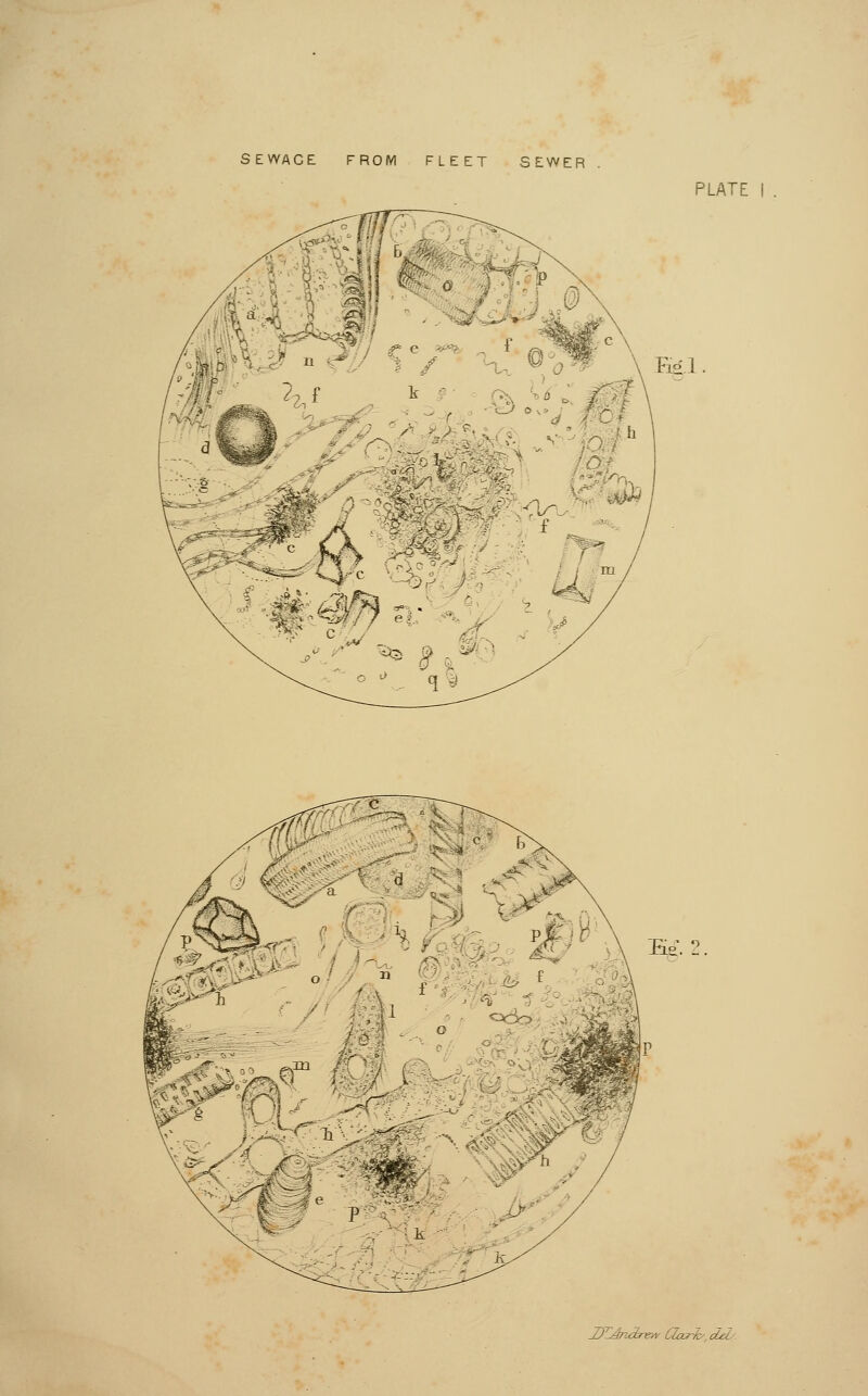 SEWACE FROM FLEET SEWER PLATE \ Koi o' n ■ > ^ - ° &> ■ :  A P 'ie P DTJndren dark, del