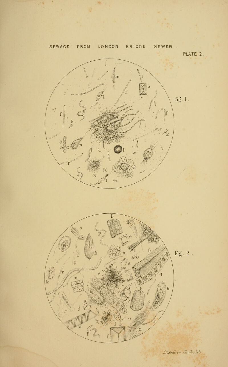 SEWACE FROM LONDON BRIDGE SEWER PLATE 2 Ei.l - :i L 1 J HI \ pio I* d'r^C^ h DTjSnSrew Cuxrh,deL