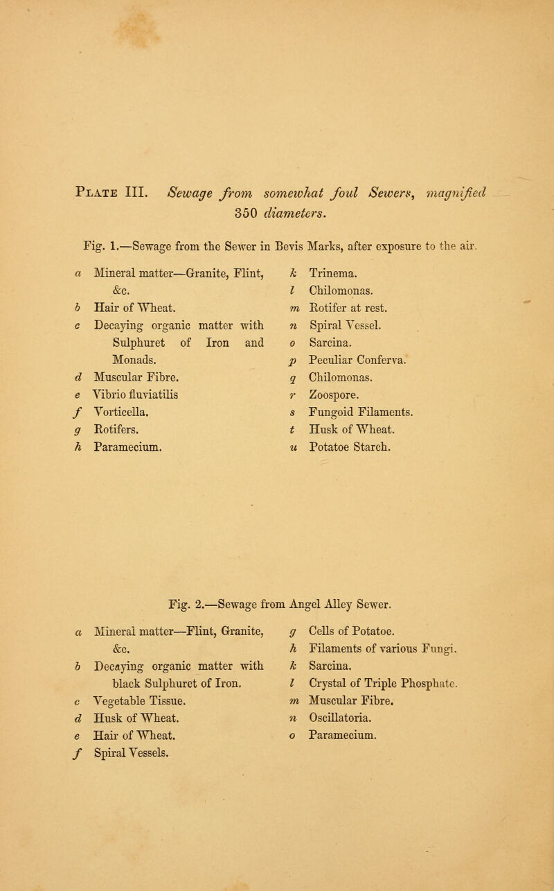 Plate III. Sewage from somewhat foul Sewers, magnified 350 diameters. Fig. 1.—Sewage from the Sewer in Bevis Marks, after exposure to the air. a Mineral matter- -Granite, Flint, k Trinema. fee. I Chilomonas. b Hair of Wheat. m Rotifer at rest. c Decaying organic matter with n Spiral Vessel. Sulphnret of Iron and 0 Sarcina. Monads. P Peculiar Conferva. d Muscular Fihre. 9. Chilomonas. e Vihrio fluviatilis r Zoospore. f Vorticella. s Fungoid Filaments, 9 Rotifers. t Husk of Wheat. h Paramecium. u Potatoe Starch. Fig. 2.—Sewage from Angel Alley Sewer. a Mineral matter—Flint, Granite, 9 Cells of Potatoe. &c. h Filaments of various Fungi. b Decaying organic matter with k Sarcina. black Sulphuret of Iron. I Crystal of Triple Phosphate c Vegetable Tissue. m Muscular Fibre. d Husk of Wheat. n Oscillatoria. f Spiral Vessels.
