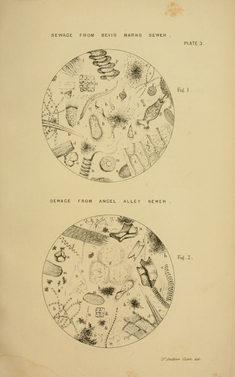 PLATE 3. as. 1 id <-:. SEWACE FROM ANGEL ALLEY SEWER Eg.2, ITliindrem Qccrfc, del/.