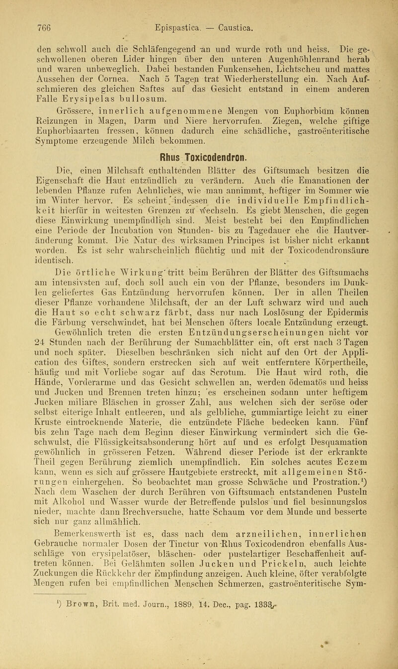 den schwoll auch die Schläfengegend -an und wurde rotli und heiss. Die ge- schwollenen oberen Lider hingen über den unteren Augenhöhlenrand herab und waren unbeweglich. Dabei bestanden Funkensehen, Lichtscheu und mattes Aussehen der Cornea. Nach 5 Tagen trat Wiederherstellung ein. Nach Auf- schmieren des gleichen Saftes auf das Gesicht entstand in einem anderen Falle Erysipelas bullosum. Grössere, innerlich aufgenommene Mengen von Euphorbium können Reizungen in Magen, Darm und Niere hervorrufen. Ziegen, welche giftige Euphorbiaarten fressen, können dadurch eine schädliche, gastroenteritische Symptome erzeugende Milch bekommen. Rhus Toxicodendron. Die, einen Milchsaft enthaltenden Blätter des Giftsumach besitzen die Eigenschaft die Haut entzündlich zu verändern. Auch die Emanationen der lebenden Pflanze rufen Aehnliches, wie man annimmt,, heftiger im Sommer wie im Winter hervor. Es scheint.'indessen die individuelle Empfindlich- keit hierfür in weitesten Grenzen zu wechseln. Es giebt Menschen, die gegen diese Einwirkung unempfindlich sind. Meist besteht bei den Empfindlichen eine Periode der Incubation von Stunden- bis zu Tagedauer ehe die Hautver- änderung kommt. Die Natur des wirksamen Principes ist bisher nicht erkannt worden. Es ist sehr wahrscheinlich flüchtig und mit der Toxicodendronsäure identisch. Die örtliche Wirkung'tritt beim Berühren der Blätter des Giftsumachs am intensivsten auf, doch soll auch ein von der Pflanze, besonders im Dank- ien geliefertes Gas Entzündung hervorrufen können. Der in allen Theilen dieser Pflanze vorhandene Milchsaft, der an der Luft schwarz wird und auch die Haut so echt schwarz färbt, dass nur nach Loslösung der Epidermis die Färbung verschwindet, hat bei Menschen öfters locale Entzündung erzeugt. Gewöhnlich treten die ersten Entzündungserscheinungen nicht vor 24 Stunden nach der Berührung der Sumachblätter ein, oft erst nach 3 Tagen und noch später. Dieselben beschränken sich nicht auf den Ort der Appli- cation des Giftes, sondern erstrecken sich auf weit entferntere Körpertheile, häufig und mit Vorliebe sogar auf das Scrotum. Die Haut wird roth, die Hände, Vorderarme und das Gesicht schwellen an, werden ödematös und heiss und Jucken und Brennen treten hinzu; 'es erscheinen sodann unter heftigem Jucken miliare Bläschen in grosser Zahl, aus welchen sich der seröse oder selbst eiterige Inhalt entleeren, und als gelbliche, gummiartige leicht zu einer Kruste eintrocknende Materie, die entzündete Fläche bedecken kann. Fünf bis zehn Tage nach dem Beginn dieser Einwirkung vermindert sich die Ge- schwulst, die Flüssigkeitsabsonderung hört auf und es erfolgt Desquamation gewöhnlich in grösseren Fetzen. Während dieser Periode ist der erkrankte Theil gegen Berührung .ziemlich unempfindlich. Ein solches acutes Eczem kann, wenn es sich auf grössere Hautgebiete erstreckt, mit allgemeinen Stö- rungen einhergehen. So beobachtet man grosse Schwäche und Prostration.x) Nach dem Waschen der durch Berühren von Giftsumach entstandenen Pusteln mit Alkohol und Wasser wurde der Betreffende pulslos und fiel besinnungslos nieder, machte dann Brechversuche, hatte Schaum vor dem Munde und besserte sich nur ganz allmählich. . . Bemerkenswert!! ist es, dass nach dem arzneilichen, innerlichen Gebrauche normaler Dosen der Tinctur von-Rhus Toxicodendron ebenfalls Aus- schläge von erysipelatöser, bläschen- oder pustelartiger Beschaffenheit auf- treten können. Bei Gelähmten sollen Jucken und Prickeln, auch leichte Zuckungen die Rückkehr der Empfindung anzeigen. Auch kleine, öfter verabfolgte Mengen rufen bei empfindlichen Menschen Schmerzen, gastroenteritische Sym- l) Brown, Brit. med. Journ., 1889, 14. Dec, pag. 1333w-