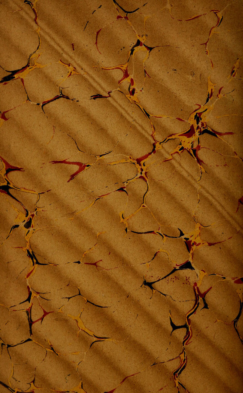 No text description is available for this image