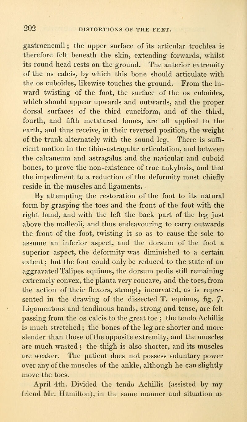 gastrocnemii; the upper surface of its articular trochlea is therefore felt beneath the skin, extending forwards, whilst its round head rests on the ground. The anterior extremity of the os calcis, by which this bone should articulate with the os cuboides, likewise touches the ground. From the in- ward twisting of the foot, the surface of the os cuboides, which should appear upwards and outwards, and the proper dorsal surfaces of the third cuneiform, and of the third, fourth, and fifth metatarsal bones, are all applied to the earth, and thus receive, in their reversed position, the weight of the trunk alternately with the sound leg. There is suffi- cient motion in the tibio-astragalar articulation, and between the calcaneum and astragalus and the navicular and cuboid bones, to prove the non-existence of true ankylosis, and that the impediment to a reduction of the deformity must chiefly reside in the muscles and ligaments. By attempting the restoration of the foot to its natural form by grasping the toes and the front of the foot with the right hand, and with the left the back part of the leg just above the malleoli, and thus endeavouring to carry outwards the front of the foot, twisting it so as to cause the sole to assume an inferior aspect, and the dorsum of the foot a superior aspect, the deformity was diminished to a certain extent; but the foot could only be reduced to the state of an aggravated Talipes equinus, the dorsum pedis still remaining extremely convex, the planta very concave, and the toes, from the action of their flexors, strongly incurvated, as is repre- sented in the drawing of the dissected T. equinus, fig. 7« Ligamentous and tendinous bands, strong and tense, are felt passing from the os calcis to the great toe ; the tendo Achillis is much stretched; the bones of the leg are shorter and more slender than those of the opposite extremity, and the muscles are much wasted; the thigh is also shorter, and its muscles are weaker. The patient does not possess voluntary power over any of the muscles of the ankle, although he can slightly move the toes. April 4th. Divided the tendo Achillis (assisted by my friend Mr. Hamilton), in the same manner and situation as